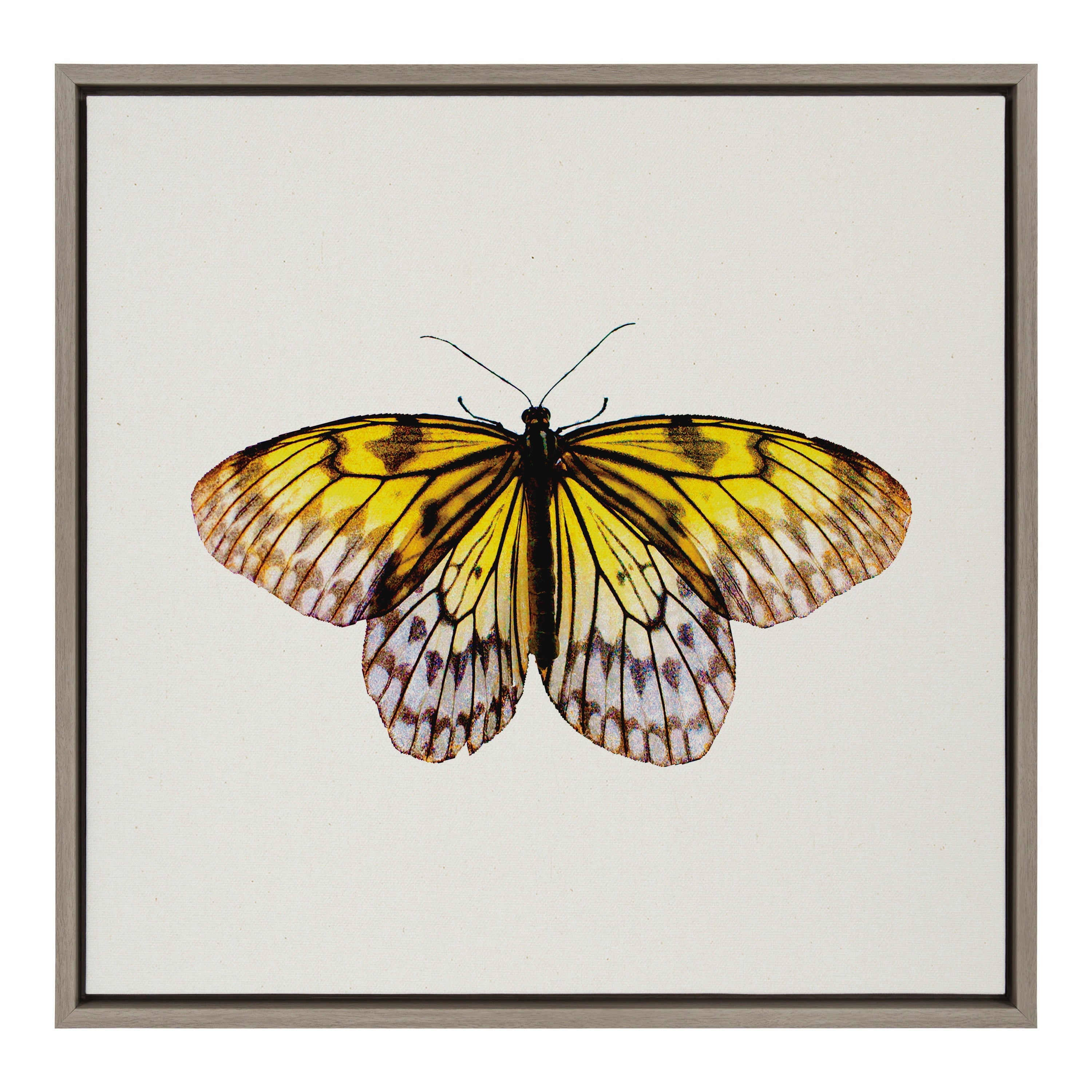 Sylvie Limon Framed Canvas by kateandlaurel - main product image for Resin Society
