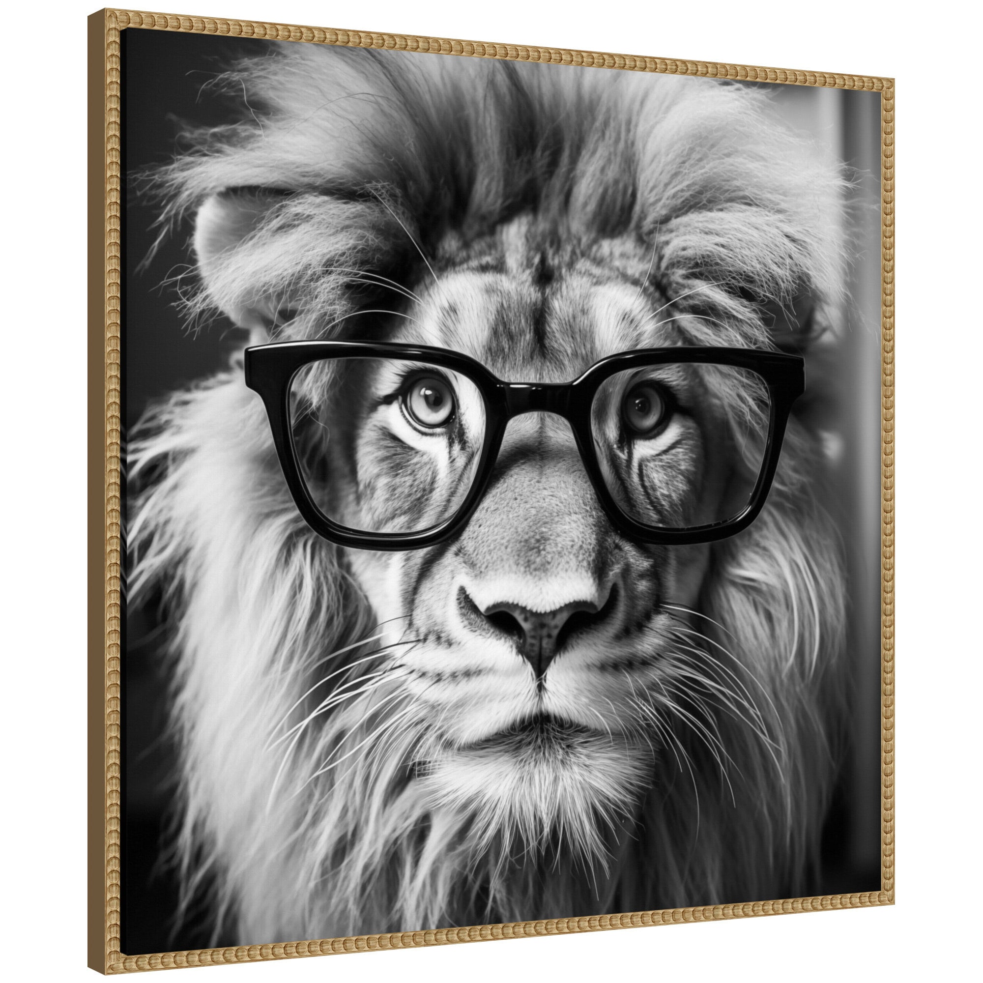 Sylvie Black and White Lion in Reading Glasses Framed Canvas by kateandlaurel - main product image for Resin Society