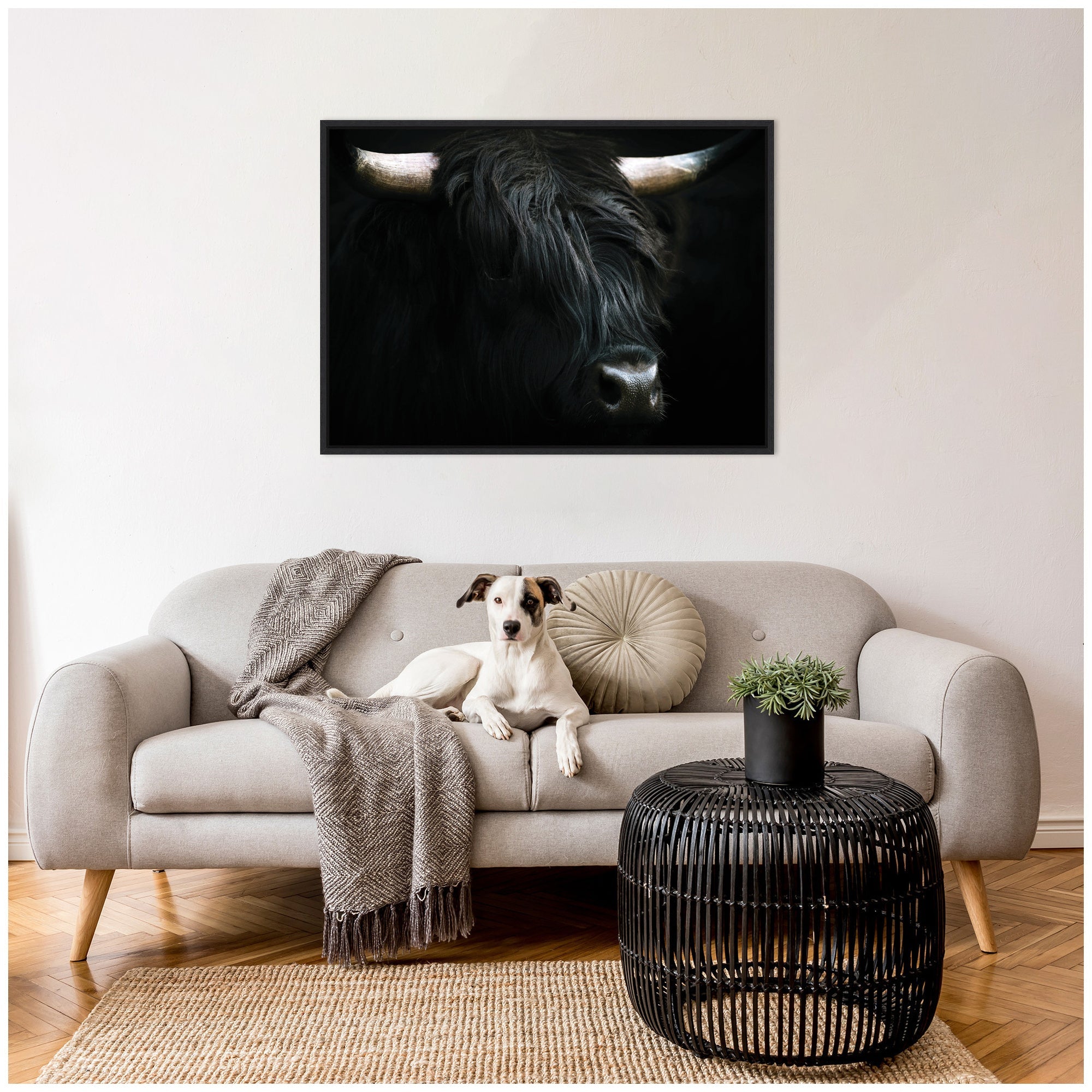 Sylvie Minimalist Black Highland Cow Framed Canvas by Michael Schauer