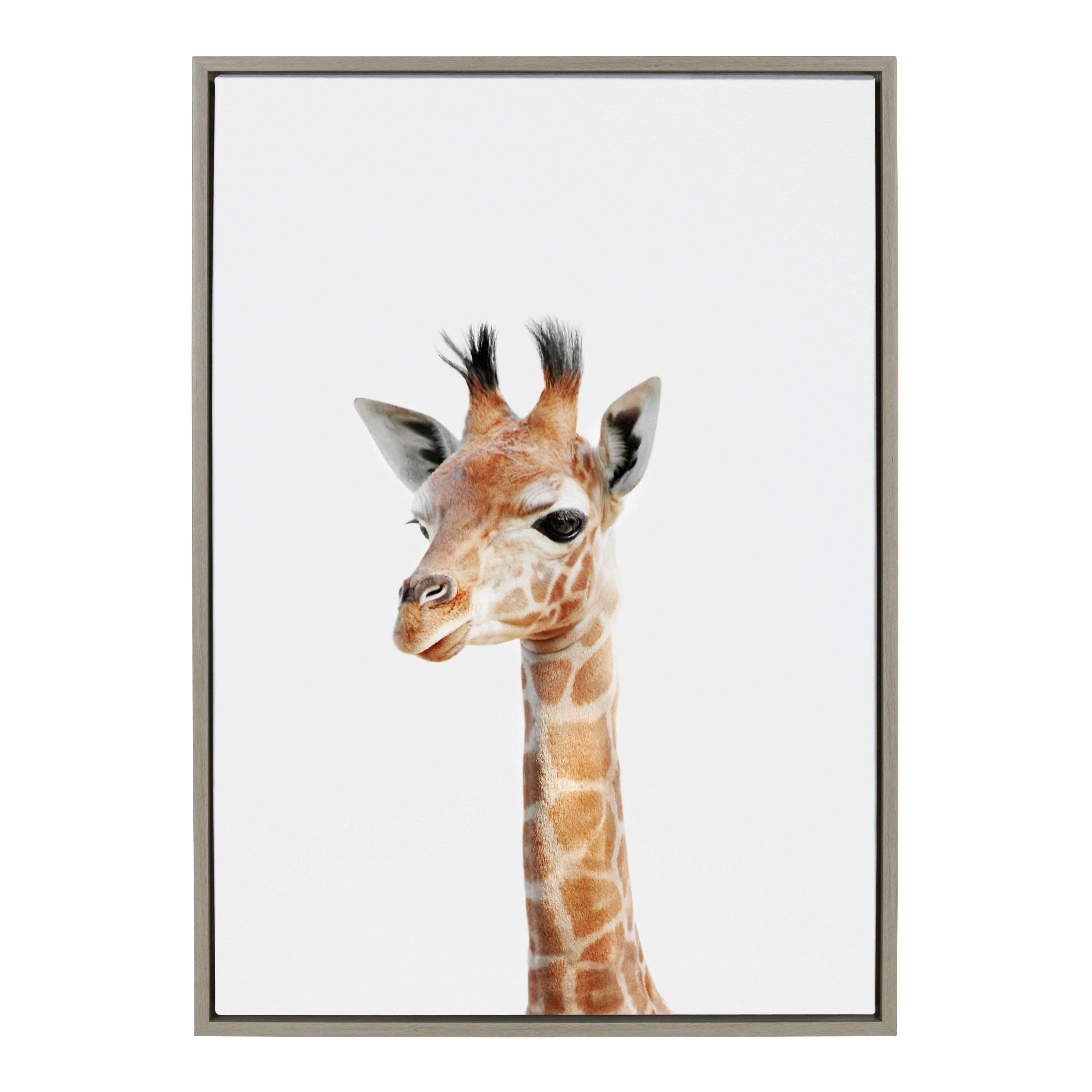 Sylvie Baby Giraffe Framed Canvas by Amy Peterson by kateandlaurel - product image 10 for Resin Society