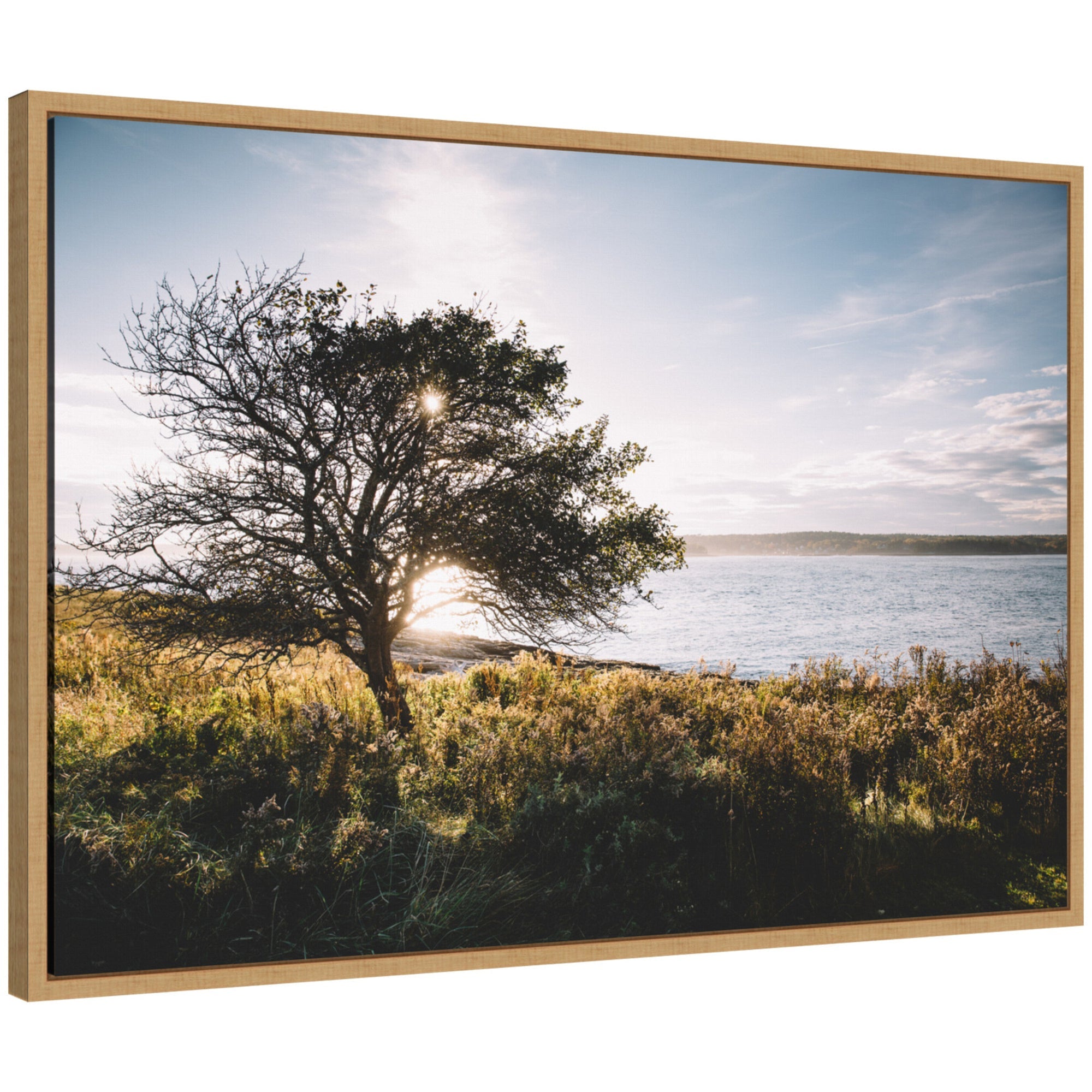 Framed canvas art showing a serene coastal sunset tree landscape by Patricia Hasz with warm golden and earthy tones.