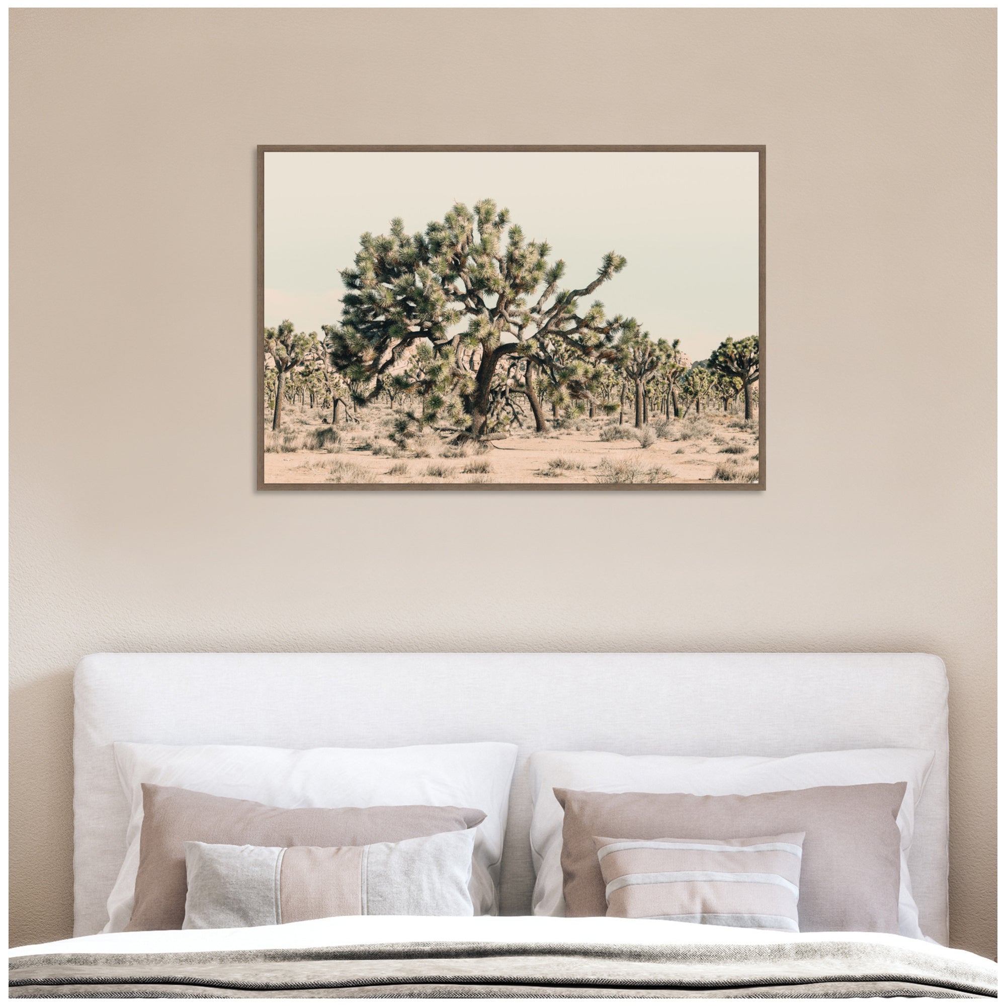 Joshua Tree No.
1 by Alicia Bock Framed Canvas Wall Art Print