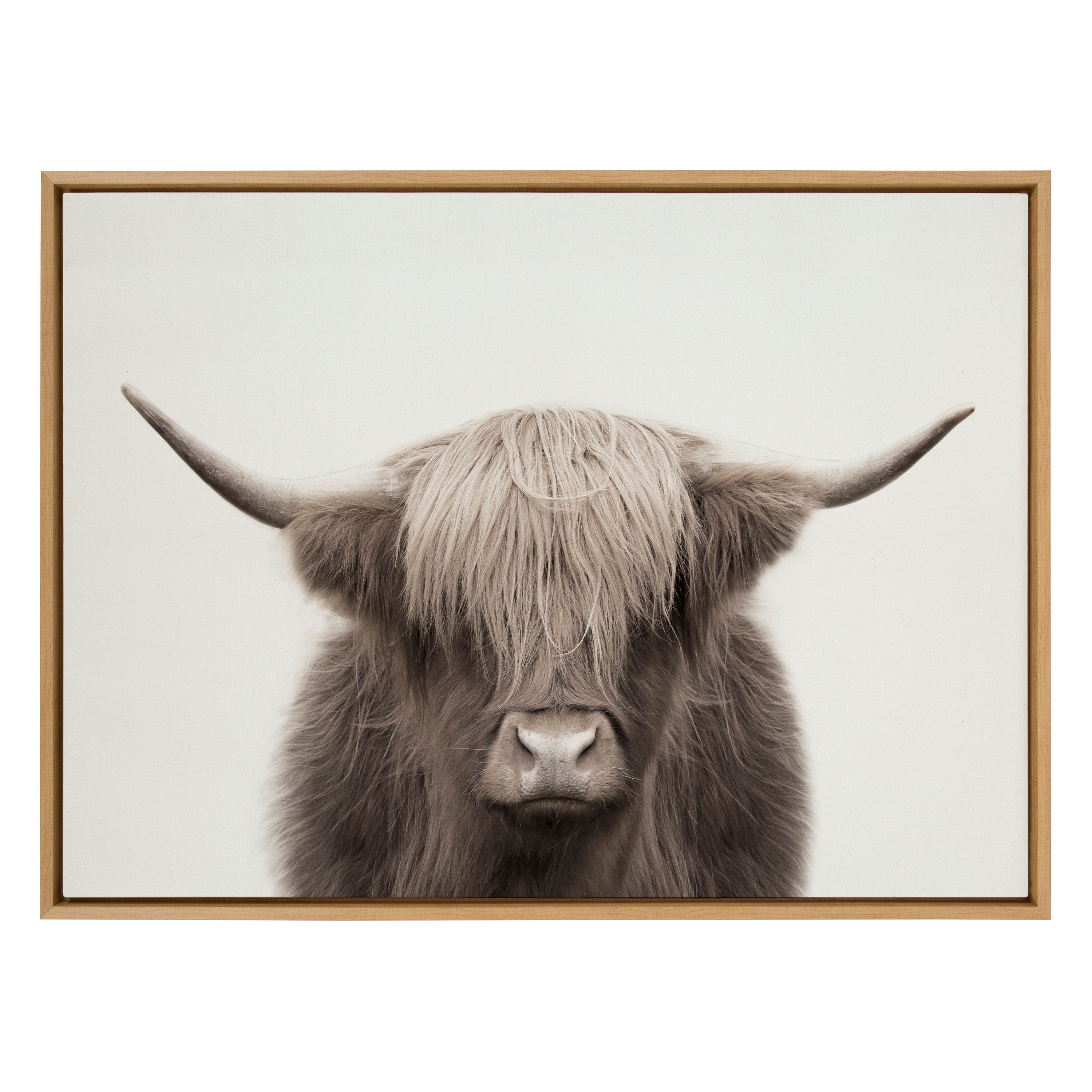Sylvie Hey Dude Highland Cow Color Framed Canvas by The Creative Bunch