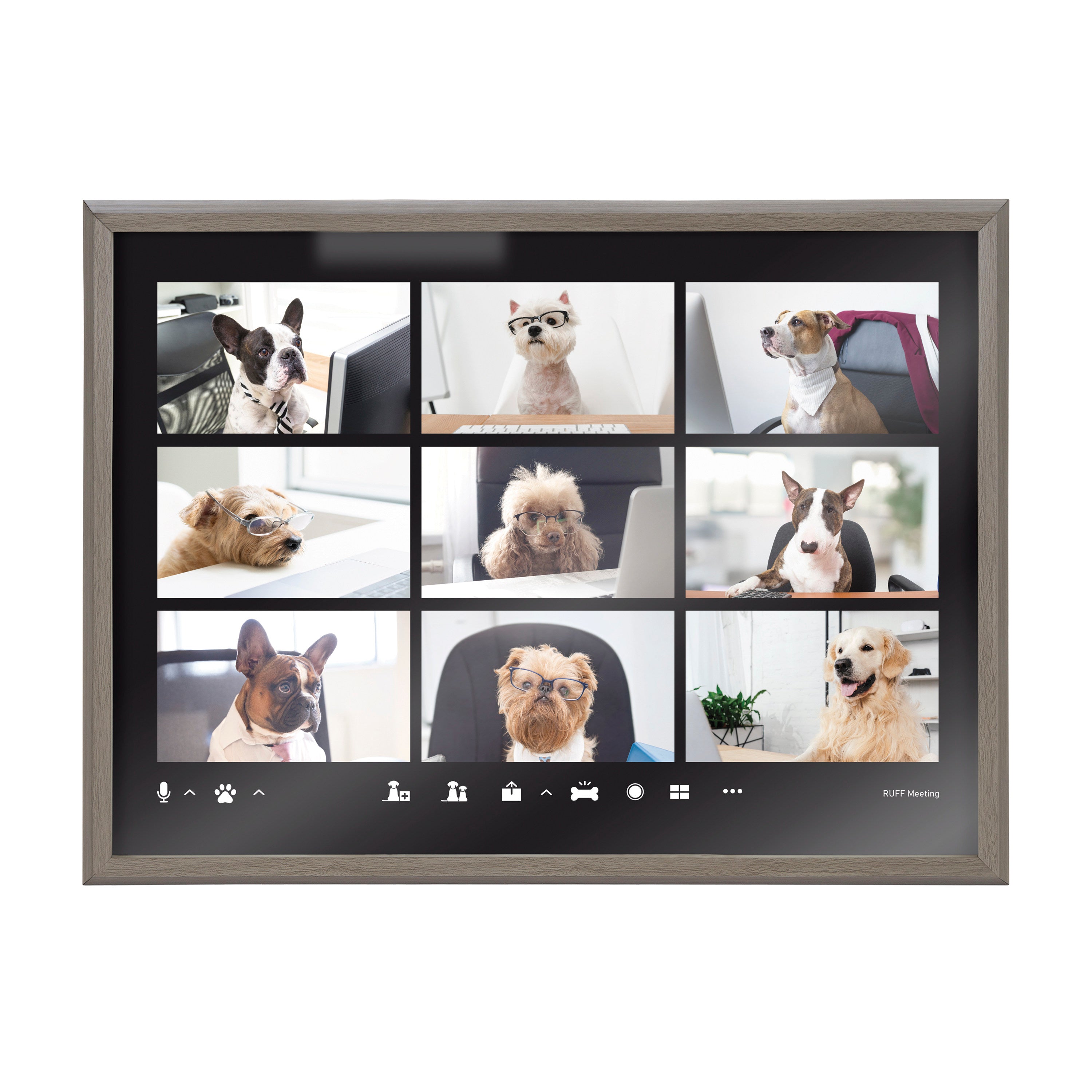 Blake Video Chat Dogs Framed Printed Glass by The Creative Bunch Studio by kateandlaurel - product image 2 for Resin Society