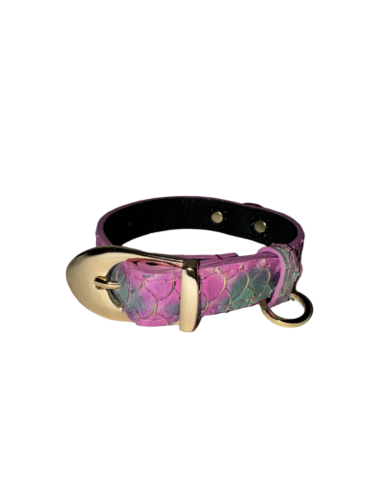 Mermaid Collection XS Collar by Allysa Payne Beverly Hills in a blue-green shade