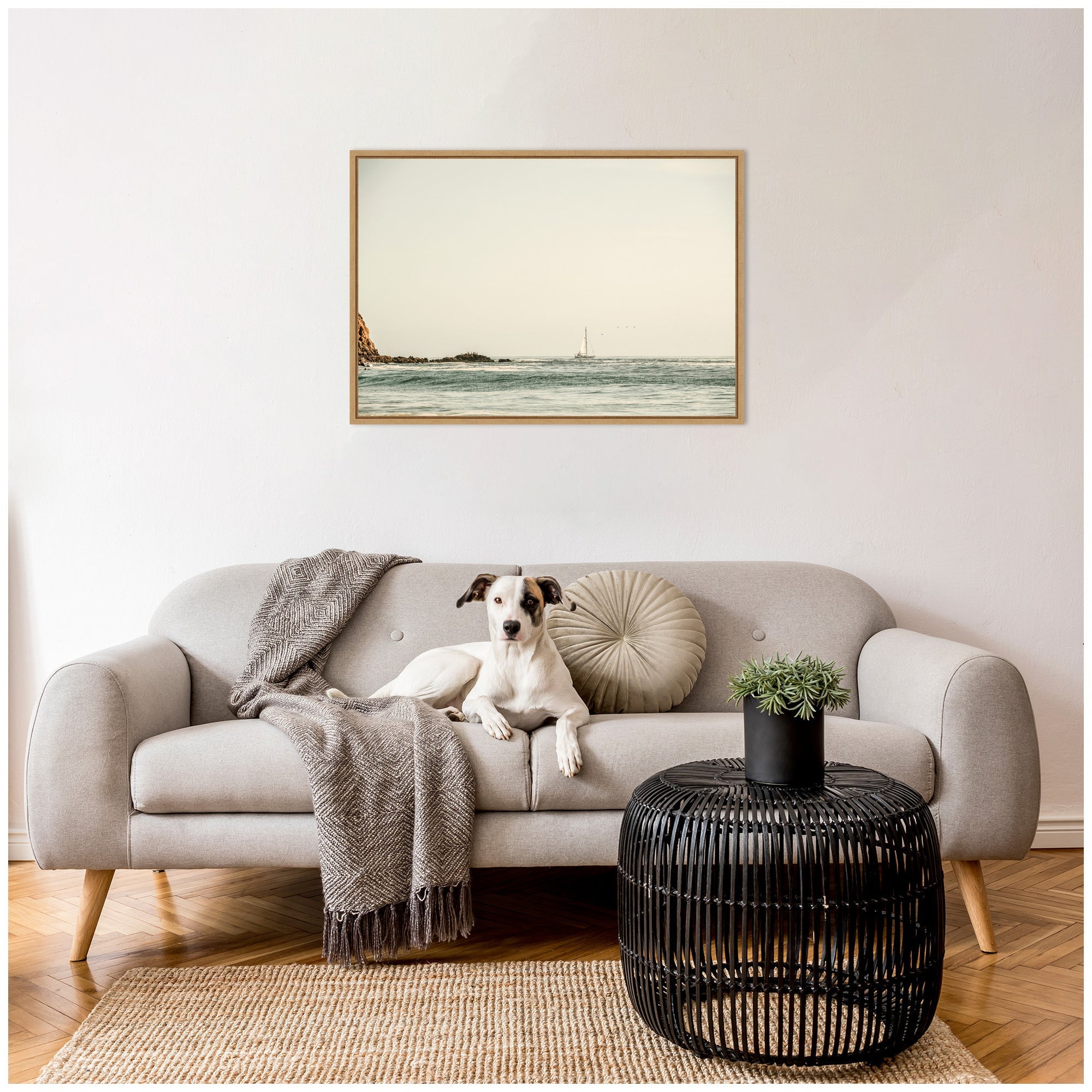 Sylvie Sailing the Pacific Framed Canvas by Alicia Bock