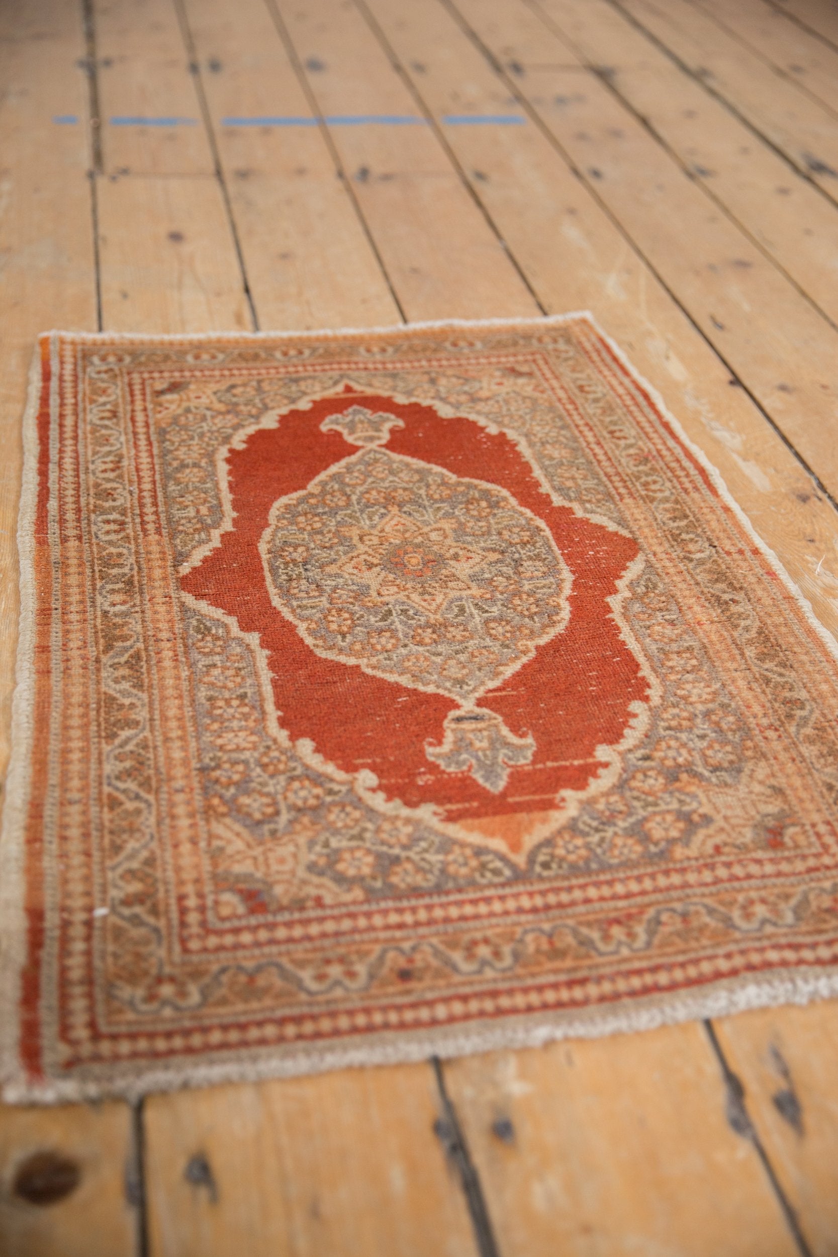 1.5x2.5 Vintage Tabriz Rug Mat by Old New House® - product image 3 for Resin Society