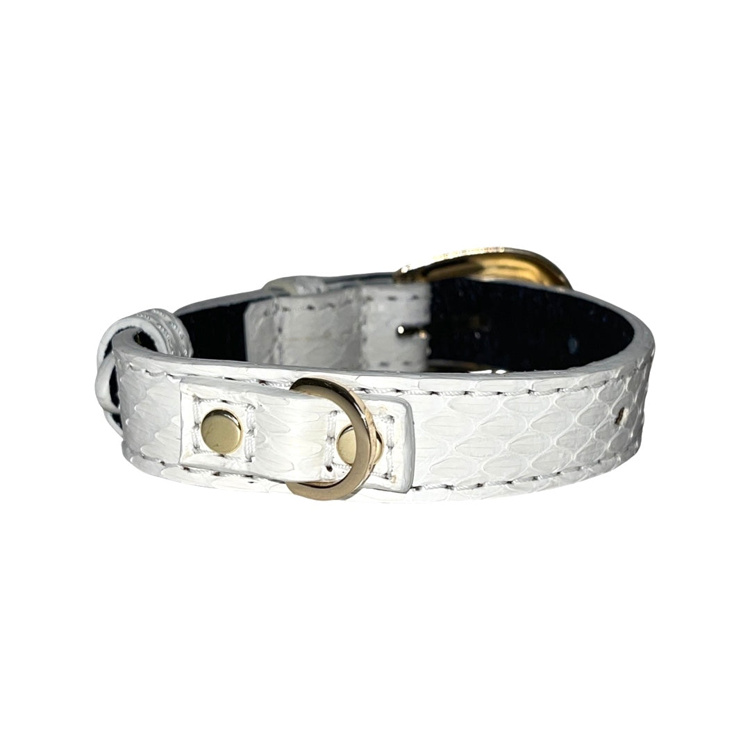 XS/S 7”-14” Matte White Custom Snake Collar/Custom Gold Oval Italian by Allysa Payne Beverly Hills - product image 2 for Resin Society
