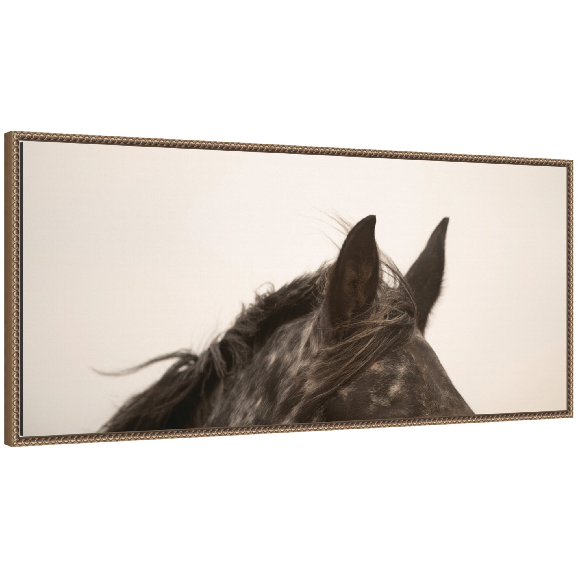 Horse Ears Panel framed canvas wall art showing close-up of horse ears rendered in warm tones