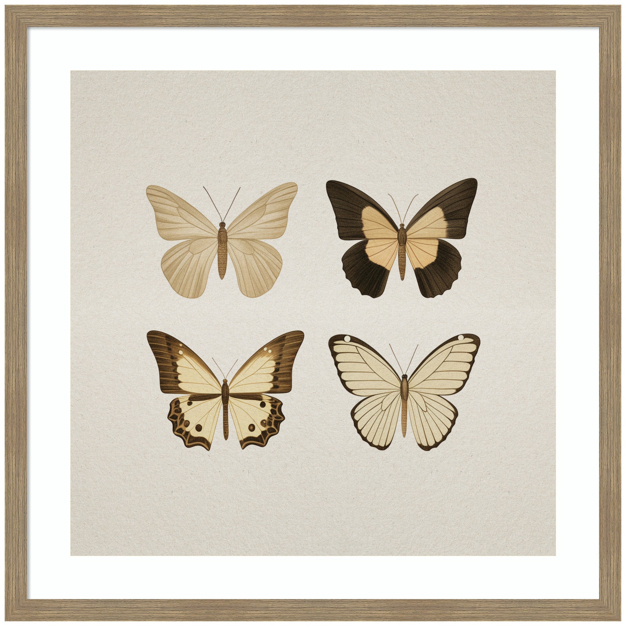 Framed art showing four vintage style butterflies in neutral tones by The Creative Bunch Studio