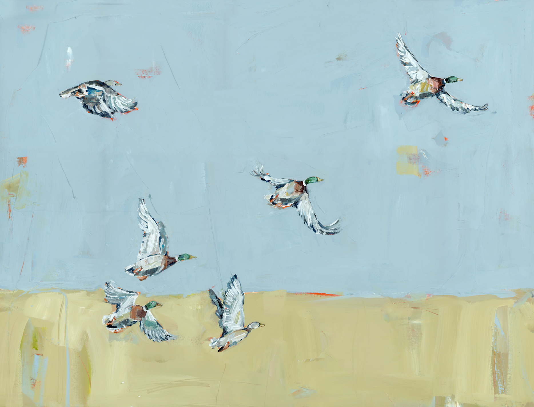 Here We Go Again Ducks Fine Art Print