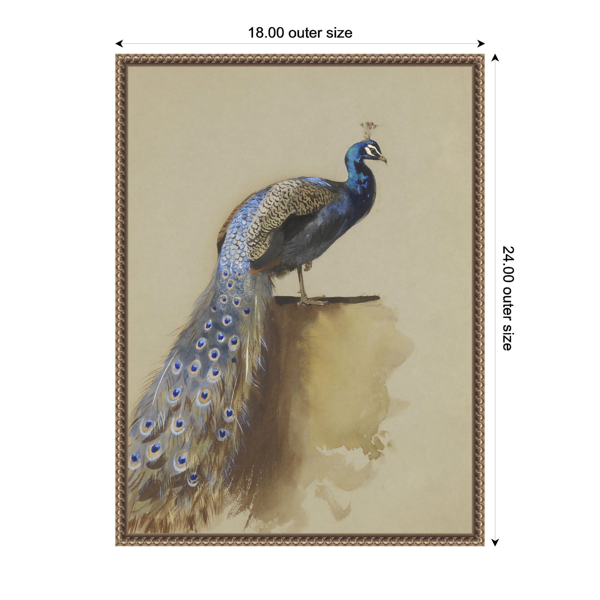 Peacock no date Archibald Thorburn by Nostalgia Prints Framed Canvas Wall Art Print