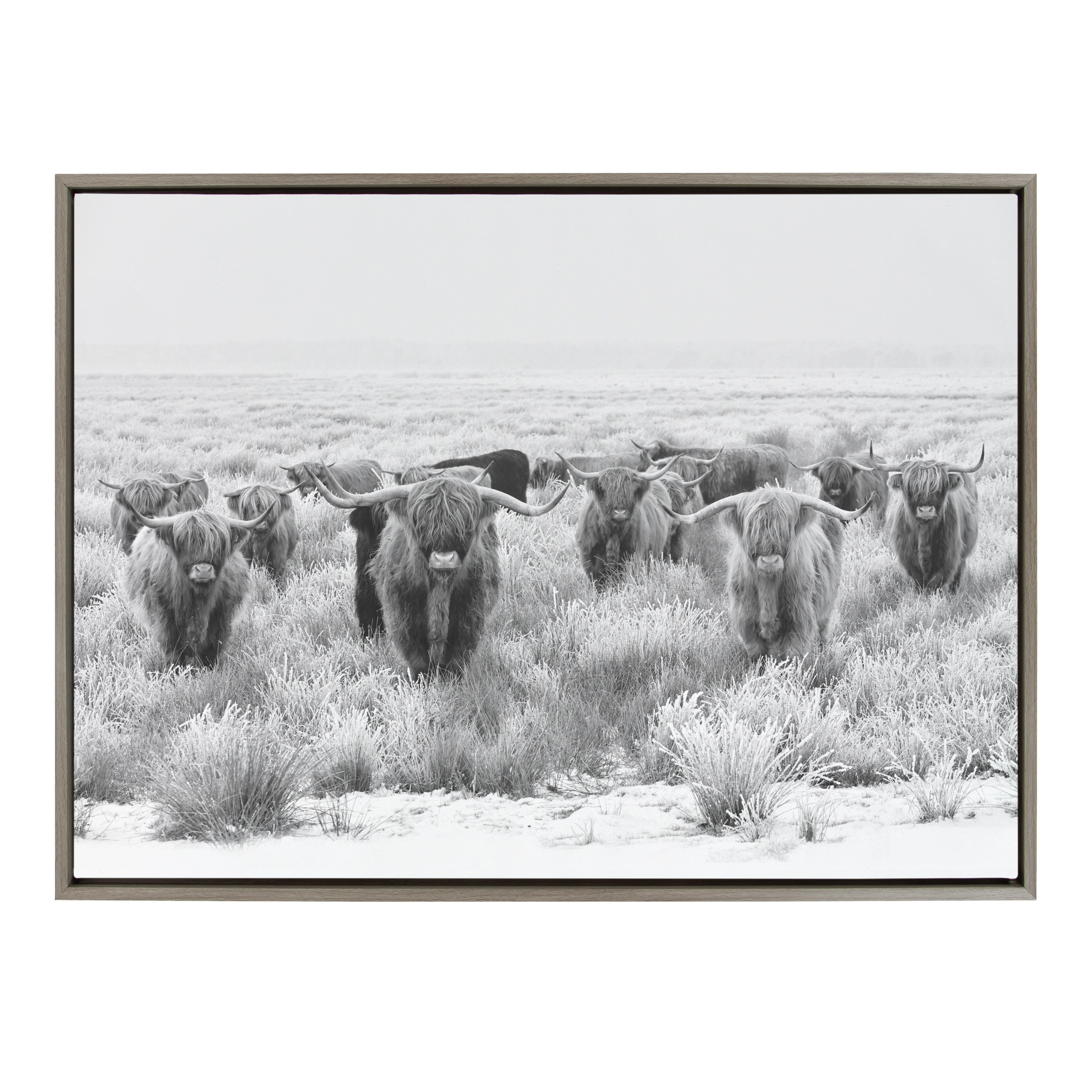 Sylvie Herd of Highland Cows Black and White Framed Canvas by The by kateandlaurel - product image 3 for Resin Society