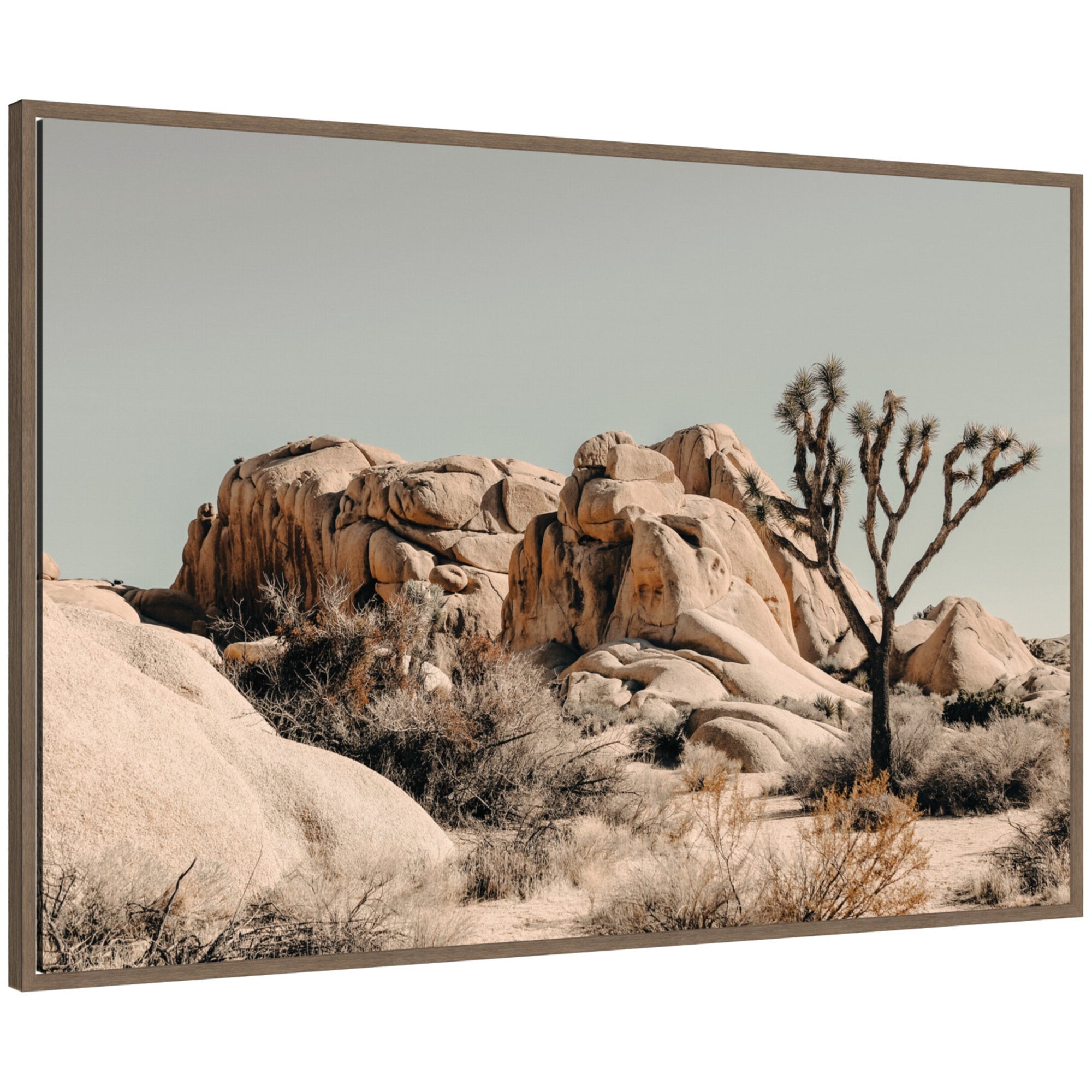 Framed canvas wall art of Joshua Tree No.
3 by Alicia Bock showing desert landscape with large rock formations and a Joshua tree.