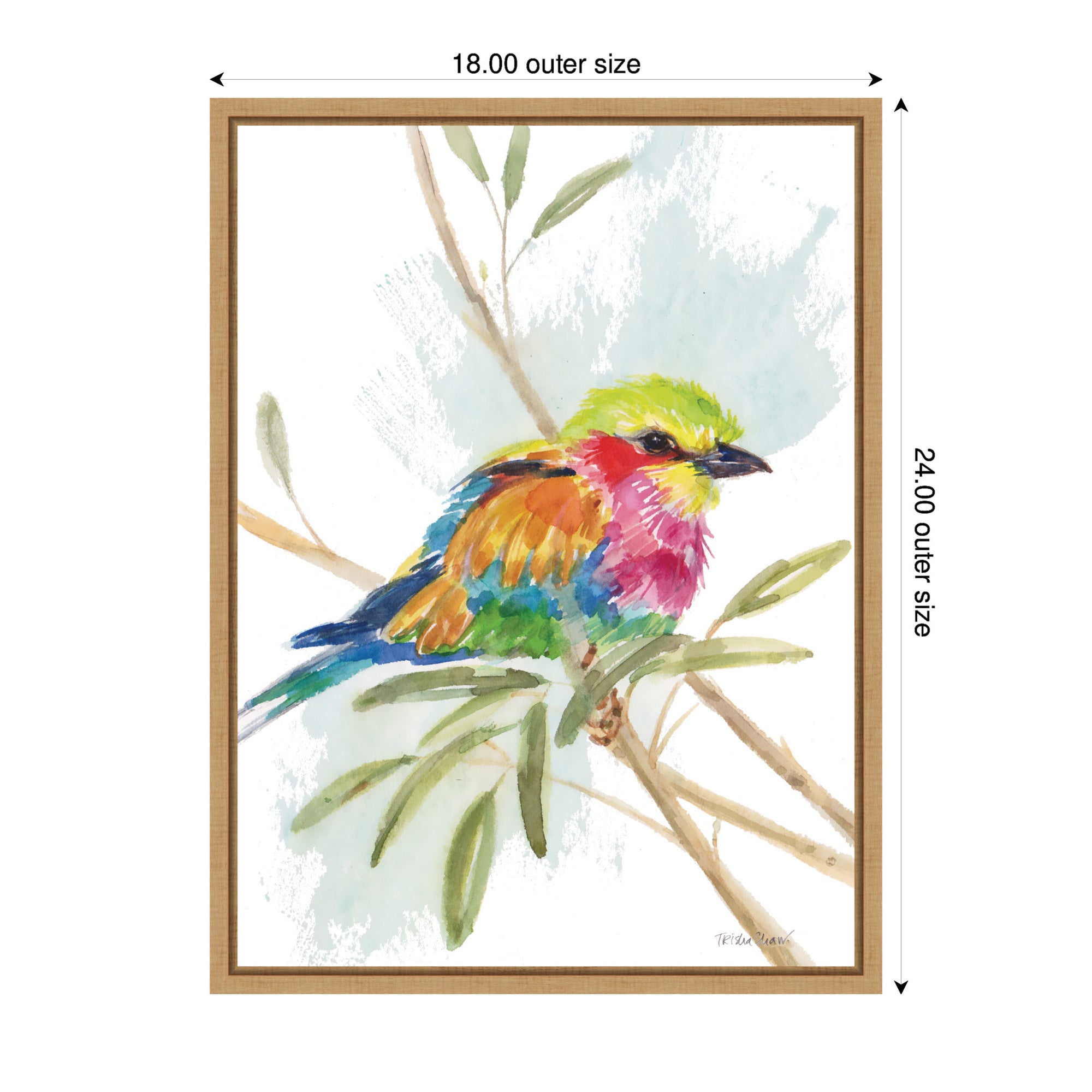 Bright Bird by Patricia Shaw Framed Canvas Wall Art Print