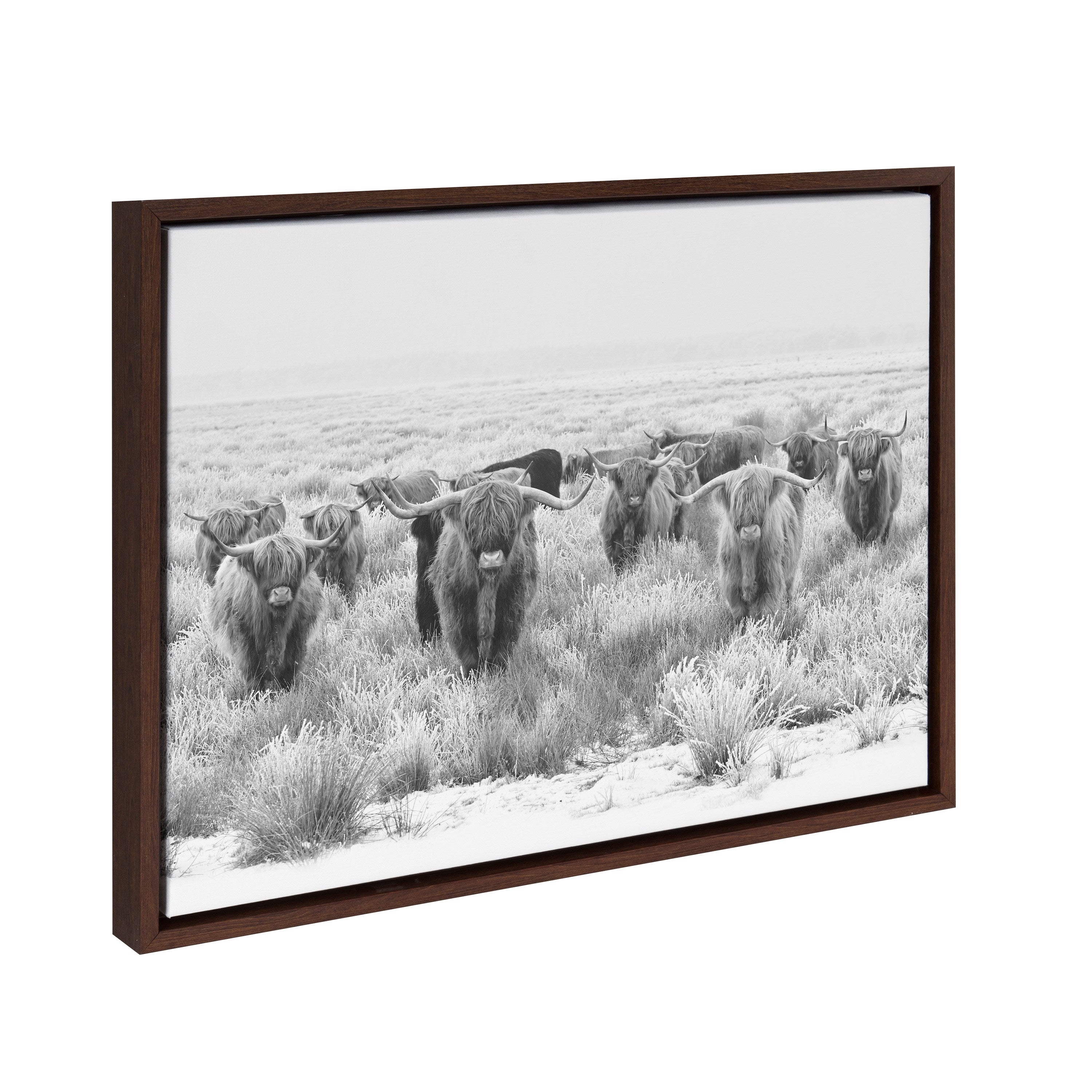 Sylvie Herd of Highland Cows Black and White Framed Canvas by The