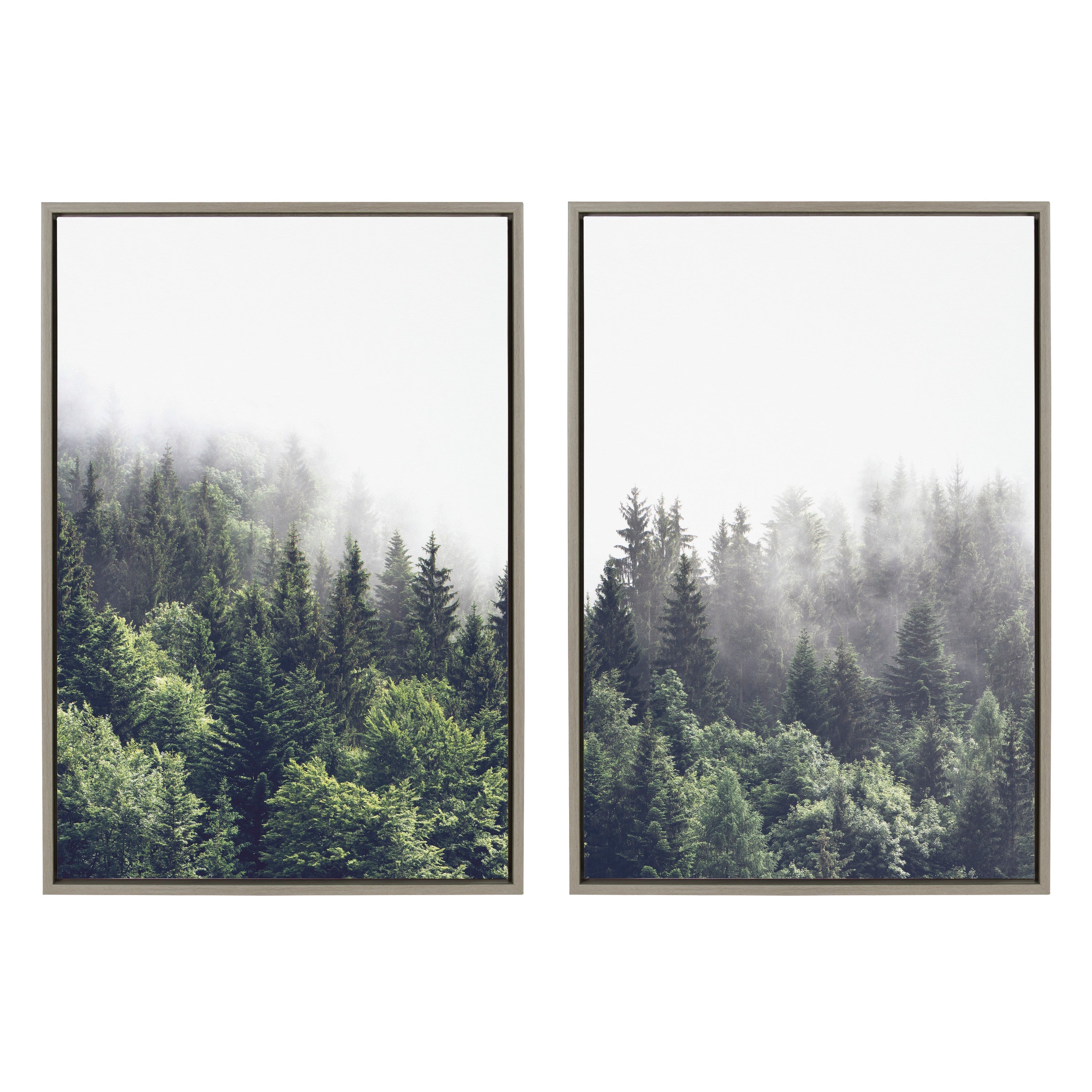 Sylvie Lush Green Forest on a Foggy Day Framed Canvas Set by The