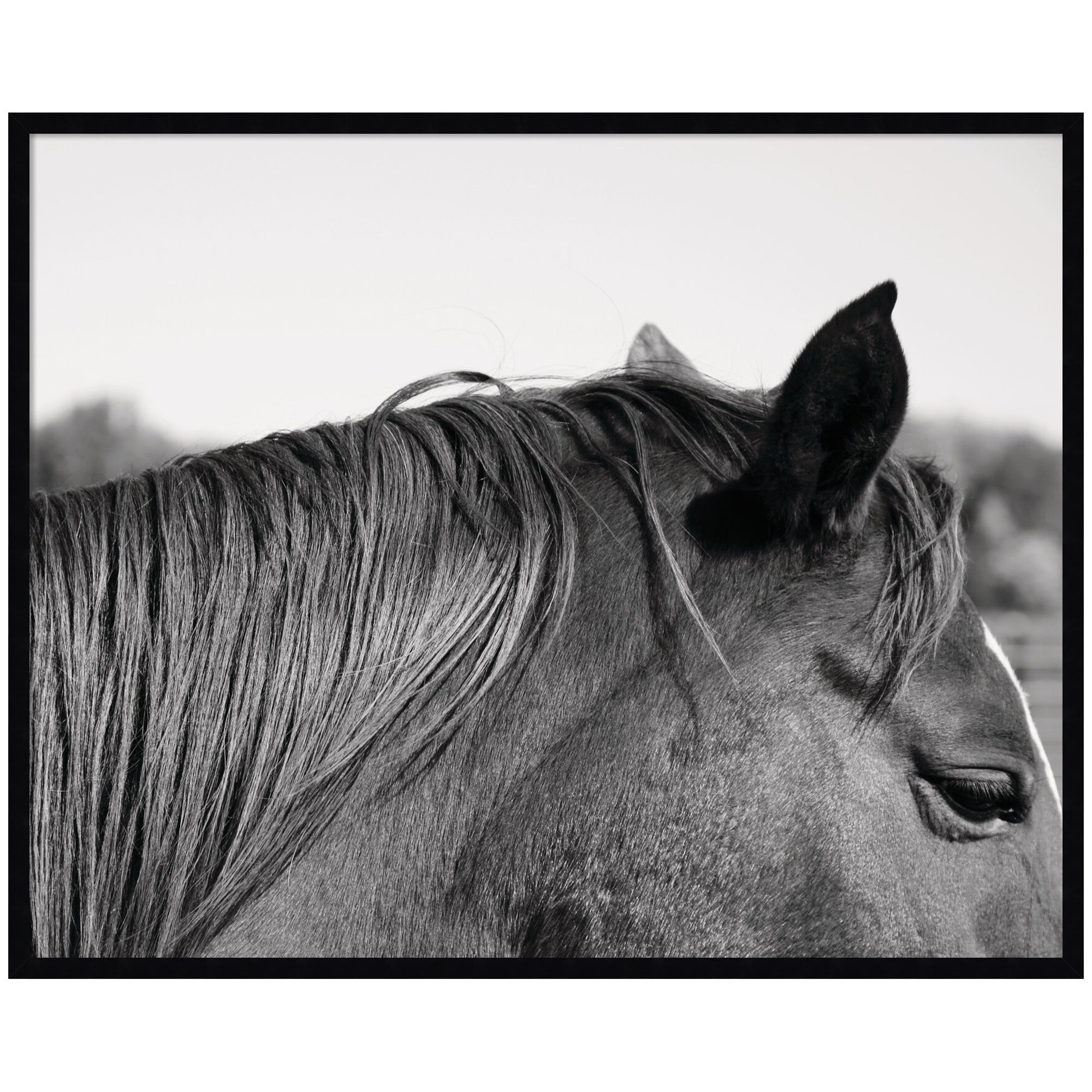 Auburn by Alicia Bock Framed Wall Art Print
