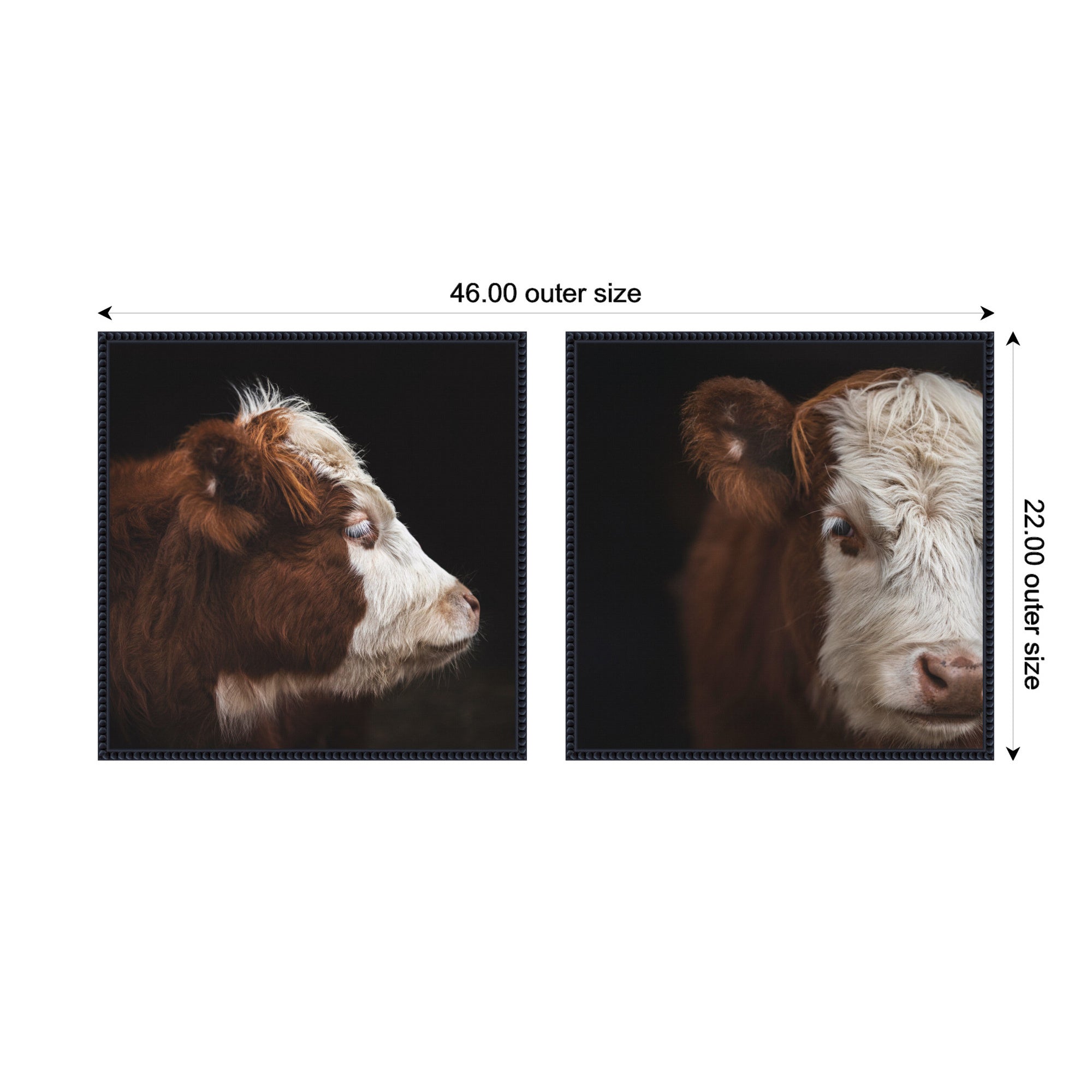 Cow Close 2 Piece Framed Canvas Wall Art Set by Emiko and Mark Franzen F2 Images