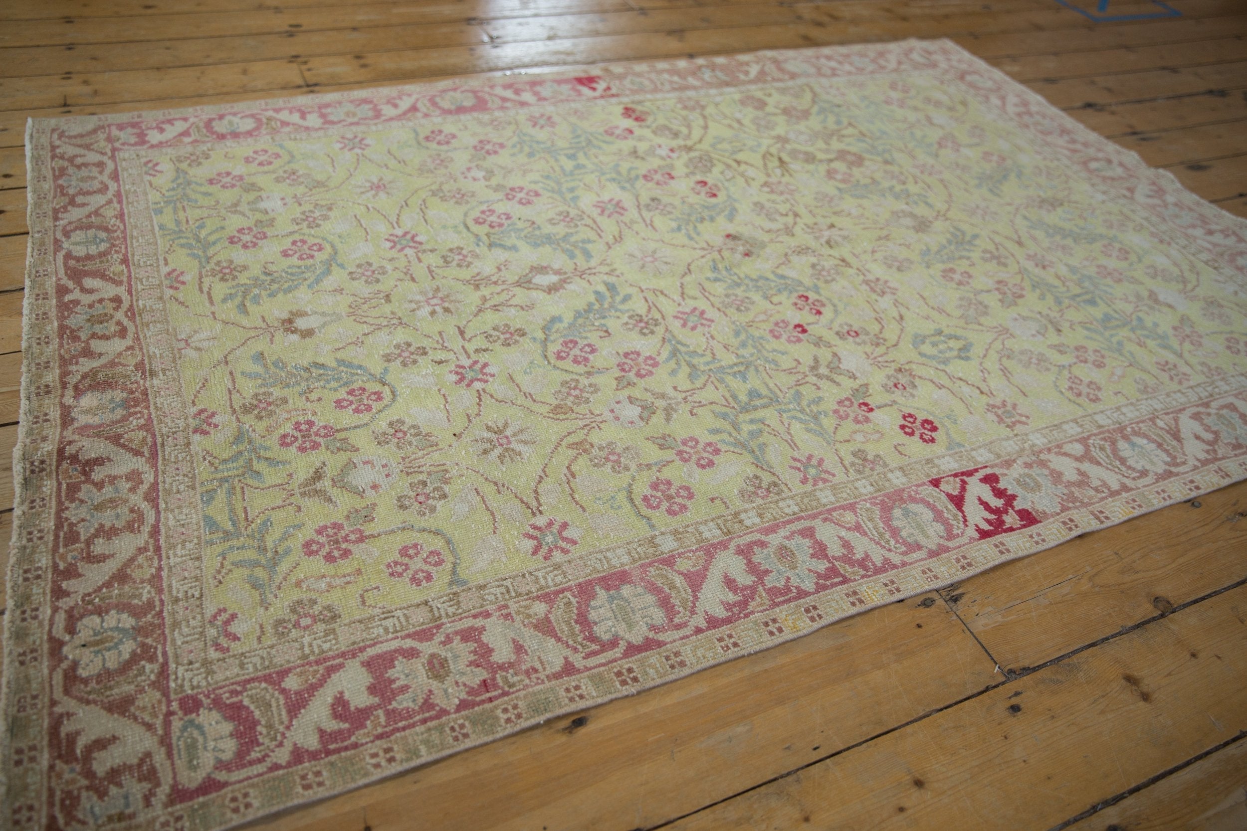 4.5x6.5 Vintage Distressed Sparta Rug by Old New House® - product image 5 for Resin Society