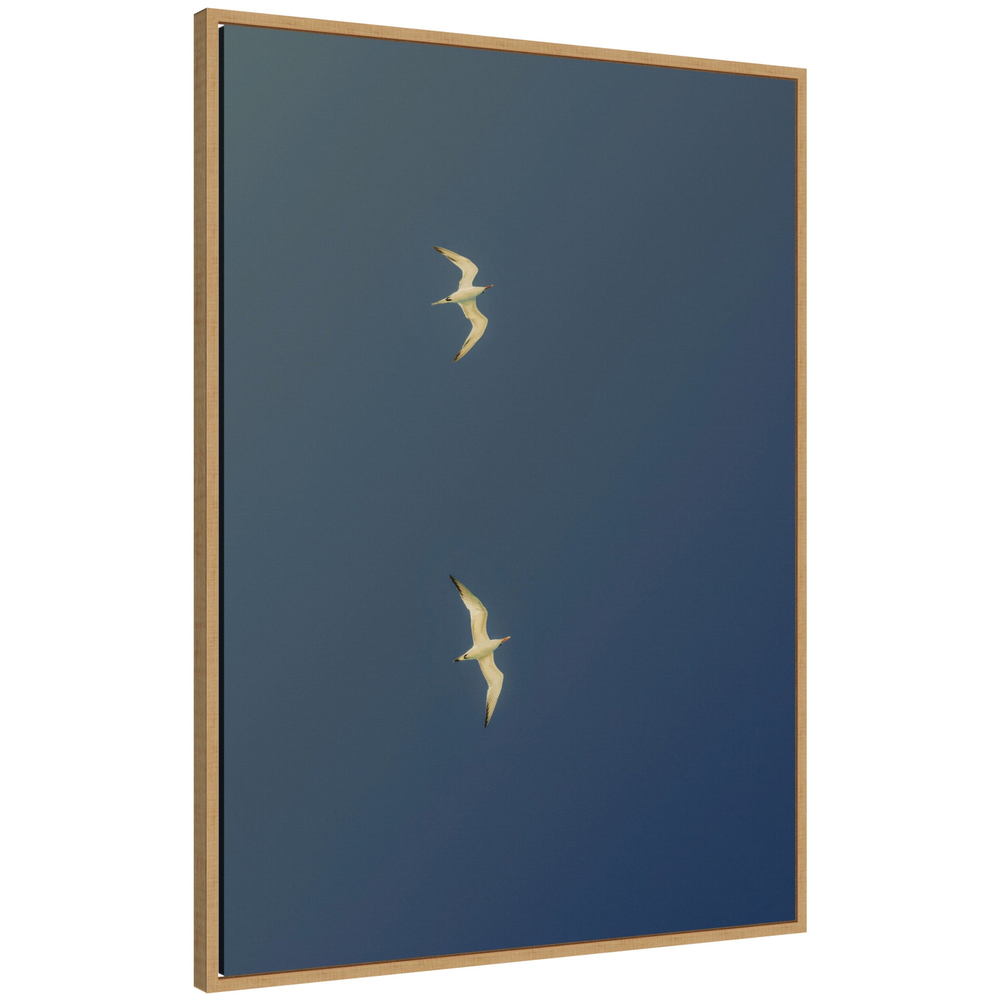 Fly Away Dark Blue by Alicia Bock framed canvas wall art showing two white birds soaring on clear deep blue sky