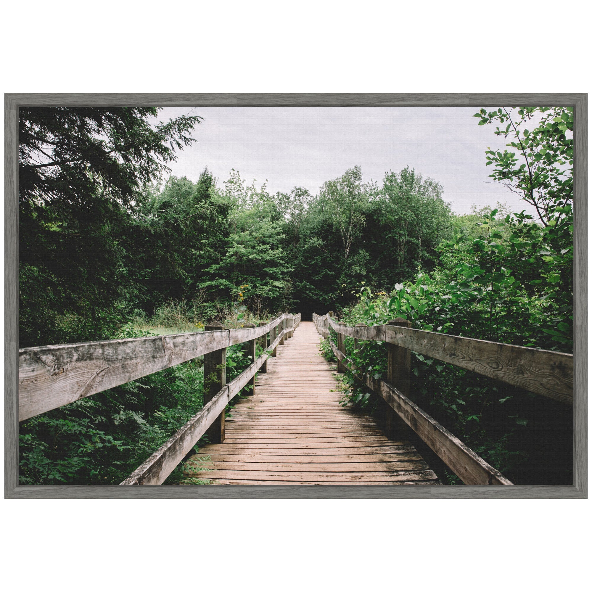 Sylvie Pathway to the Forest Landscape Framed Canvas by Patricia Hasz