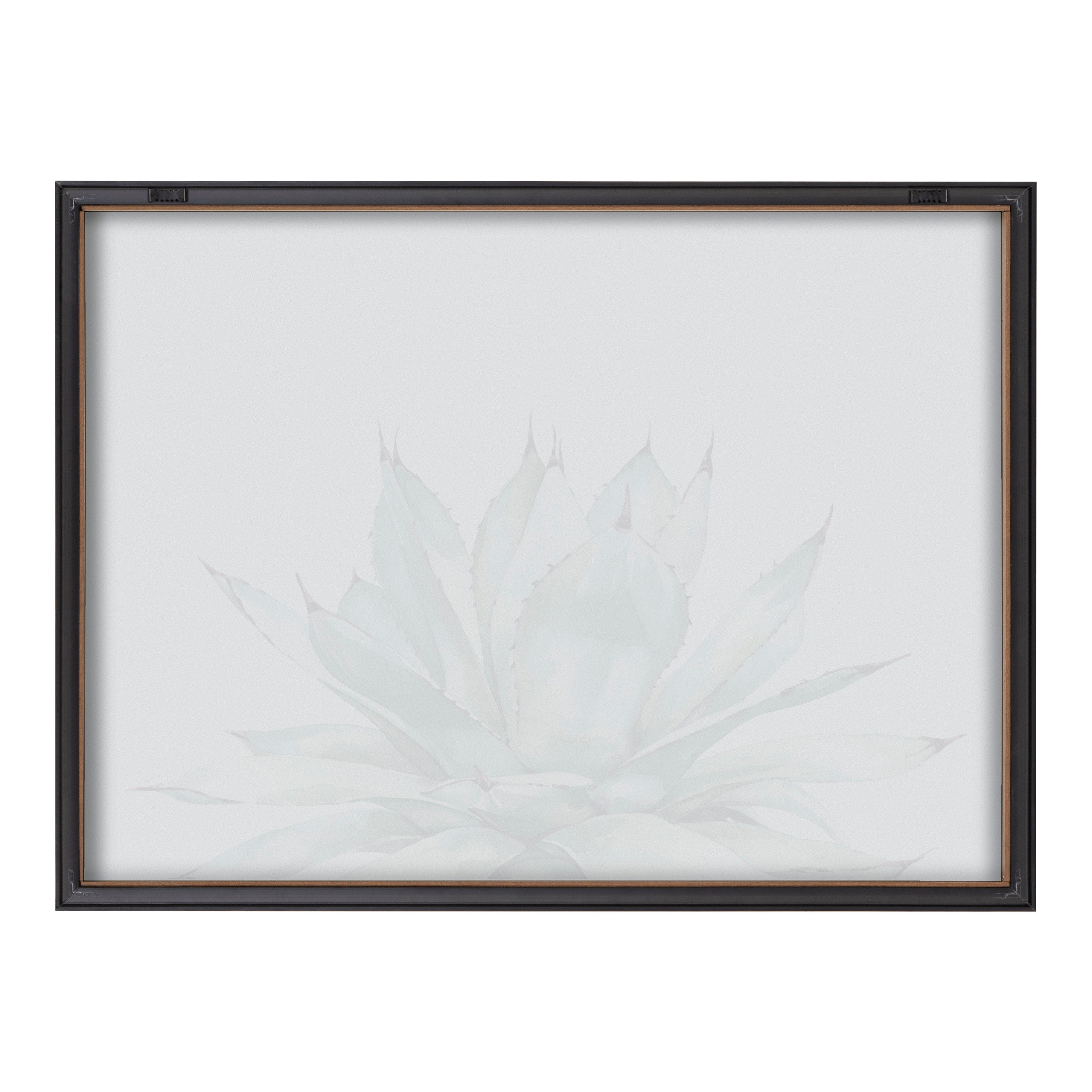 Blake Parrys Agave Framed Printed Glass by kateandlaurel - product image 17 for Resin Society