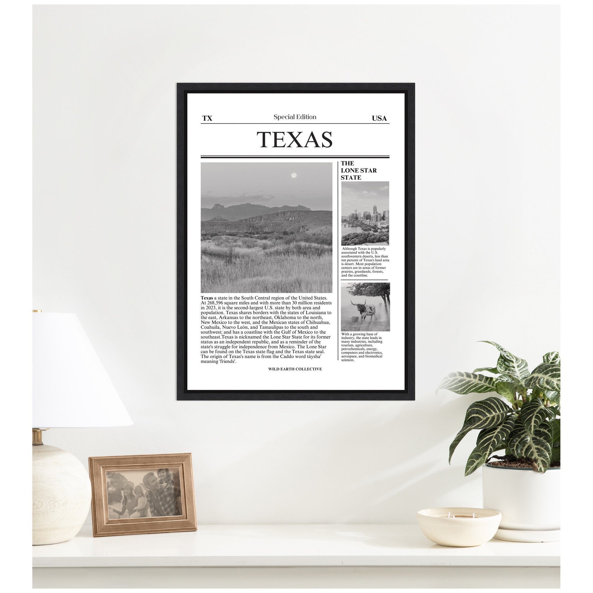 Texas Article by Megan Ryan Framed Canvas Wall Art Print