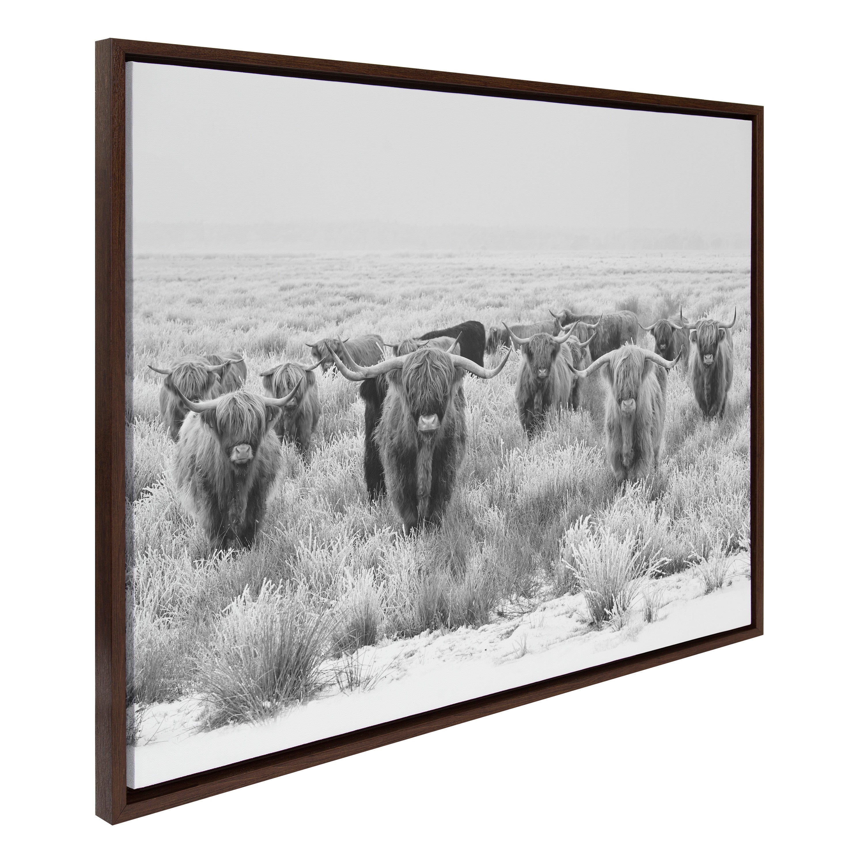 Sylvie Herd of Highland Cows Black and White Framed Canvas by The