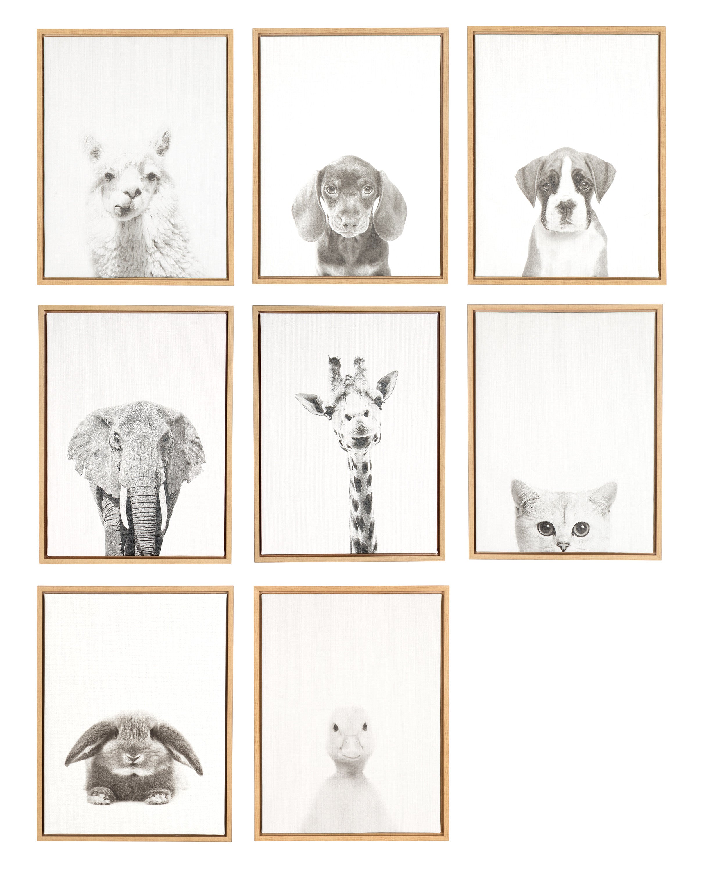 Sylvie Rabbit Framed Canvas by Simon Te of Tai Prints