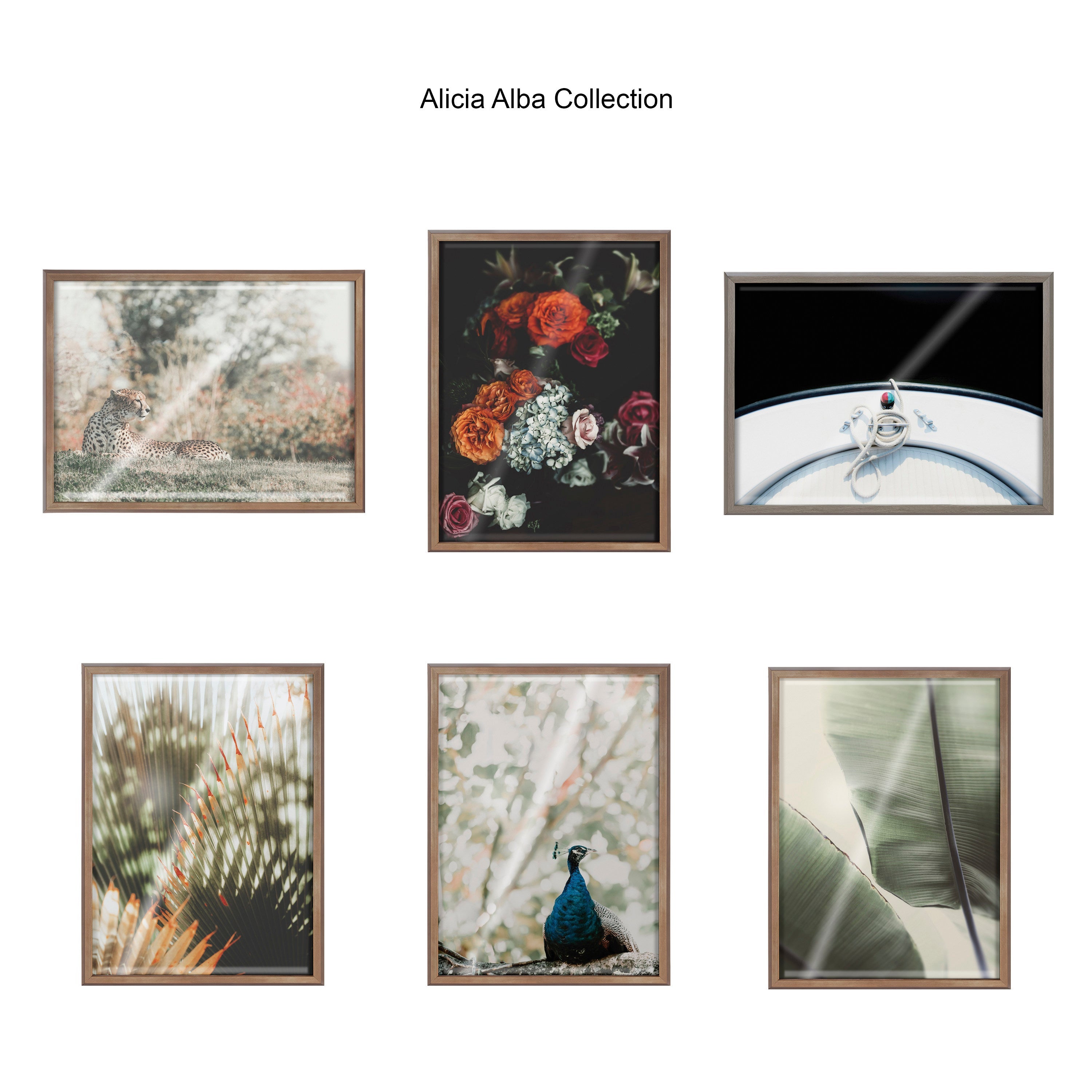 Blake Abundance Framed Printed Glass by Alicia Abla by kateandlaurel - product image 6 for Resin Society