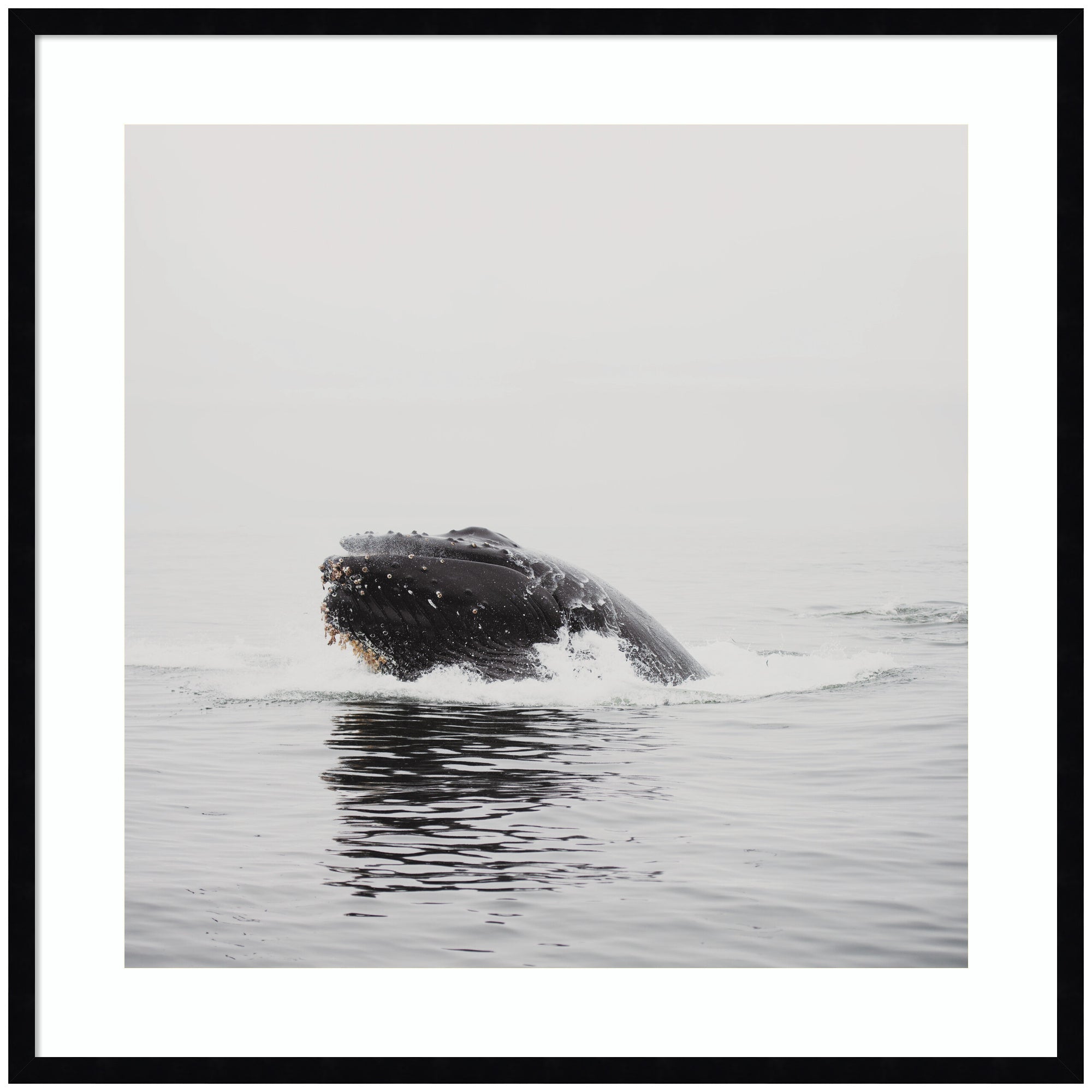 Framed wall art print depicting a humpback whale by Laura Evans