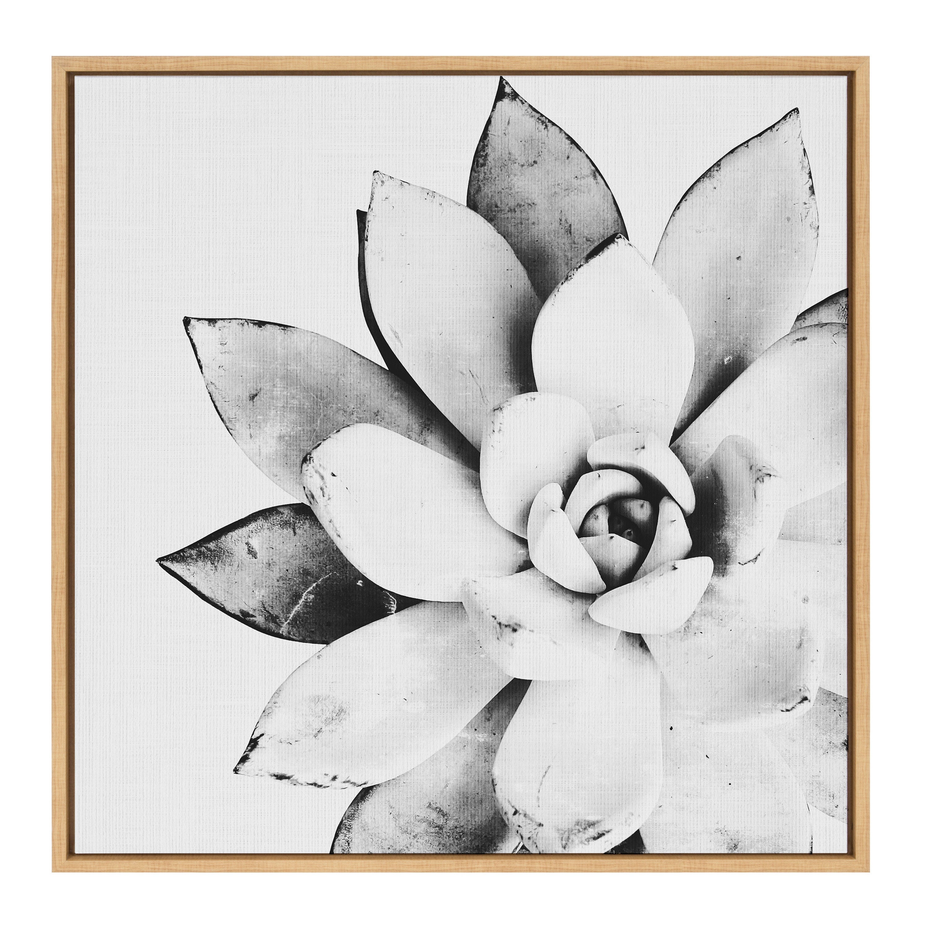Sylvie Succulent Framed Canvas by Simon Te of Tai Prints