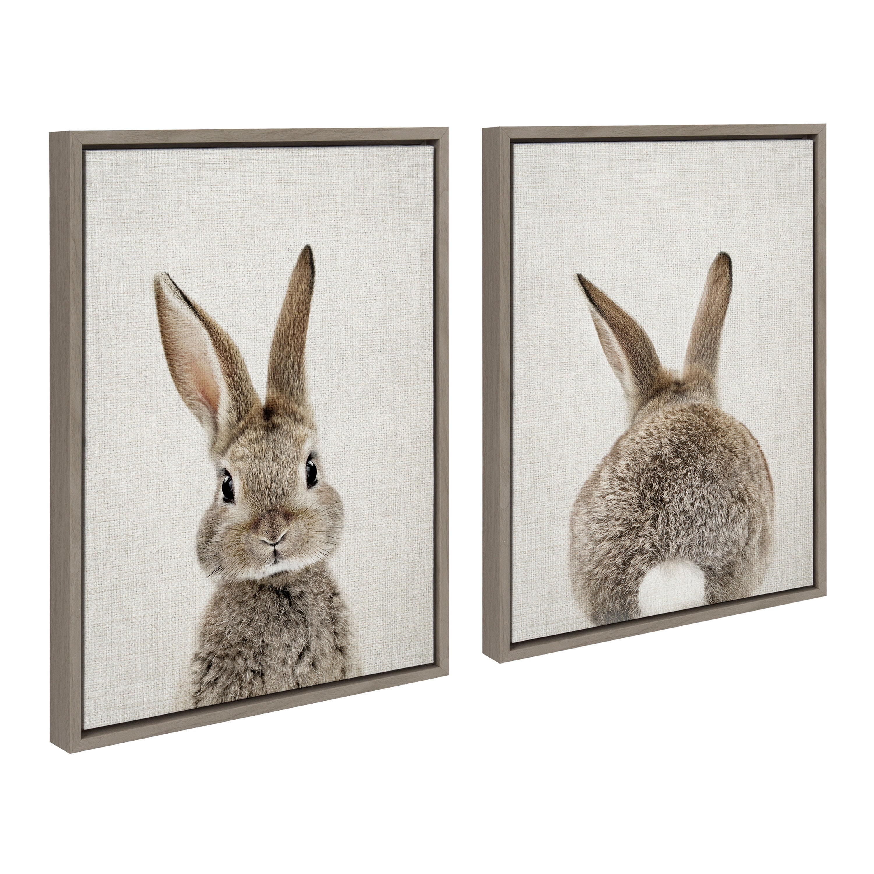 Framed canvas set featuring a bunny portrait and a cotton bunny tail on linen background