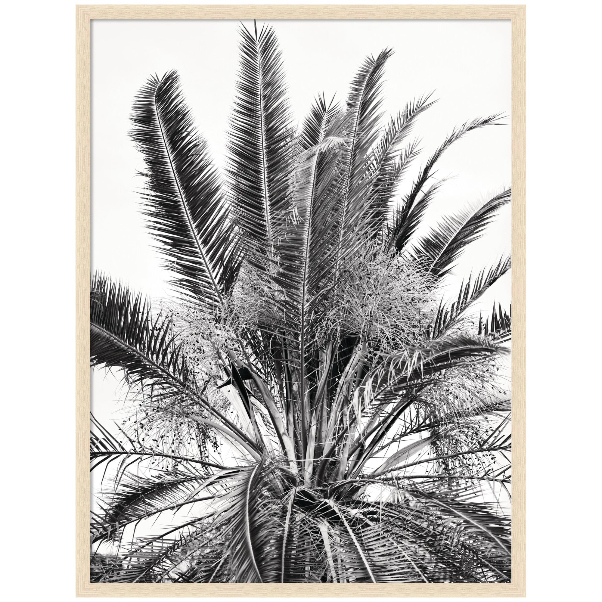 No 15 by Alicia Bock Framed Wall Art Print