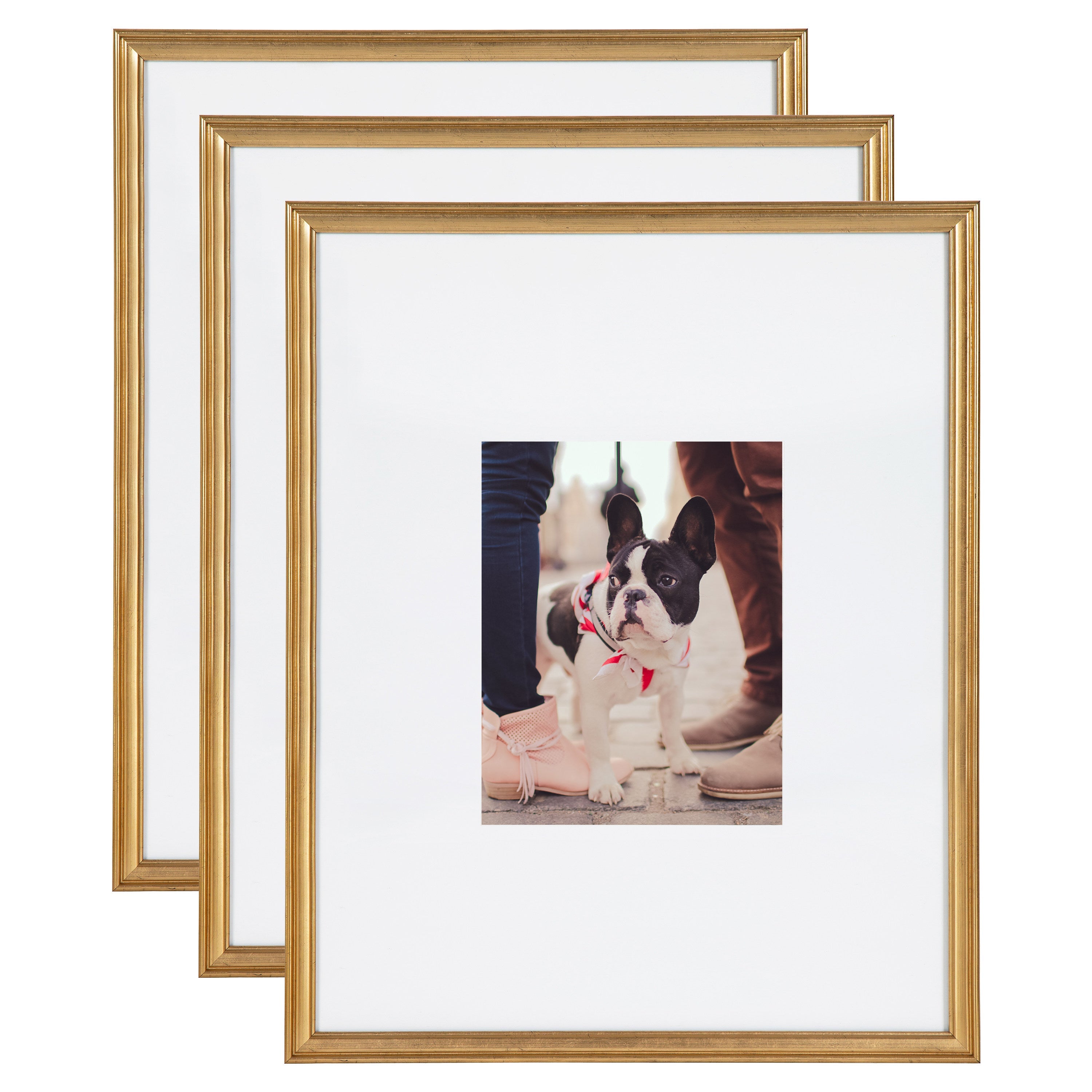 Adlynn Photo Frame Set in various finishes and sizes arranged on a white wall