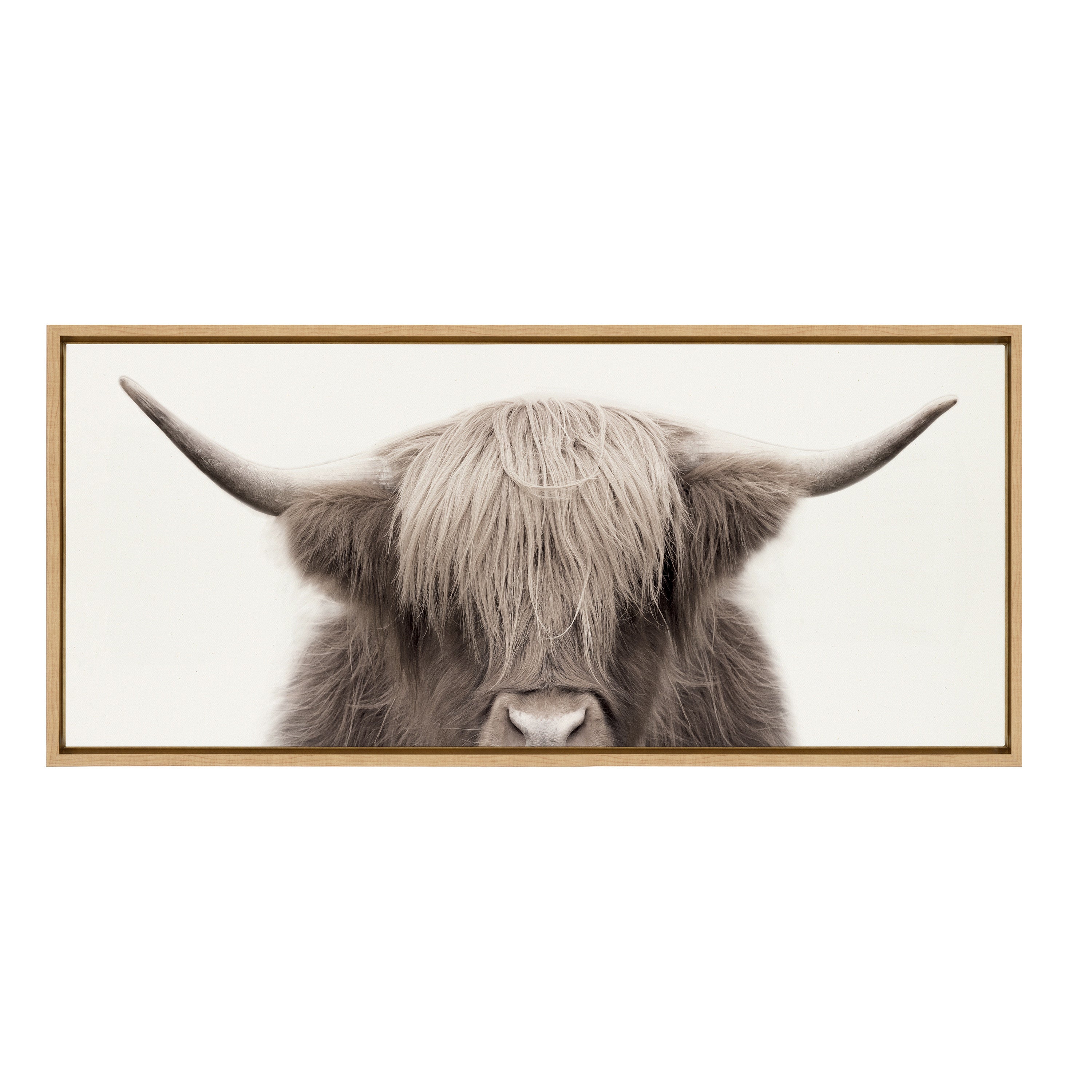 Sylvie Hey Dude Highland Cow Color Framed Canvas by The Creative Bunch