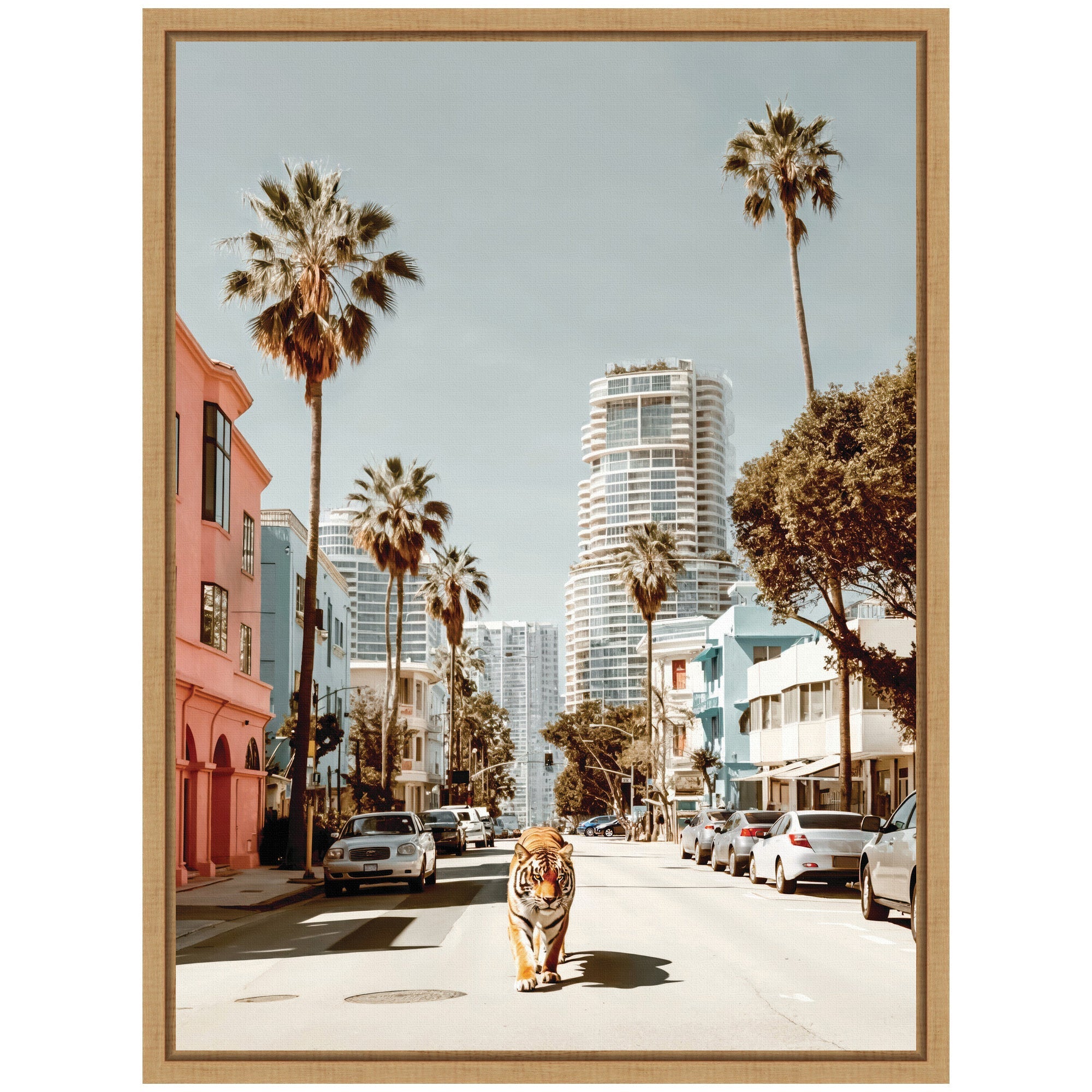 Sylvie California Tiger Roaming through Palm Springs Framed Canvas by Michael Schauer