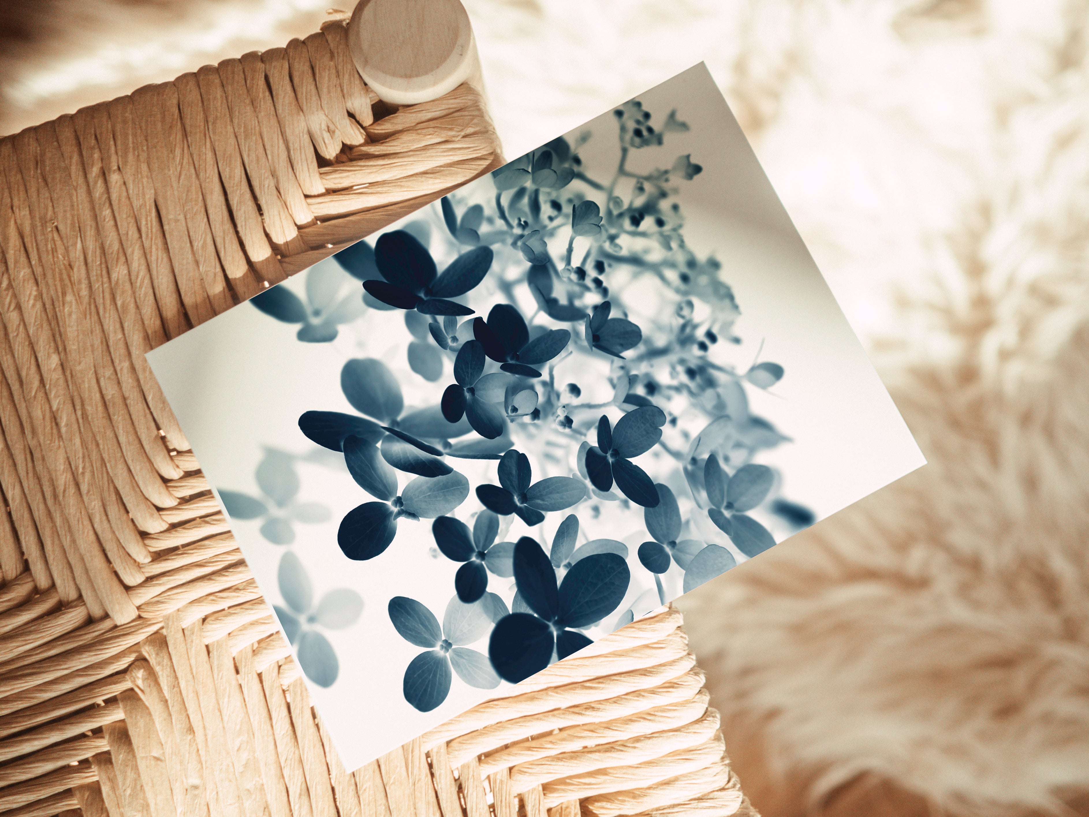 Cyan Hydrangea #1 - Blank Notecard