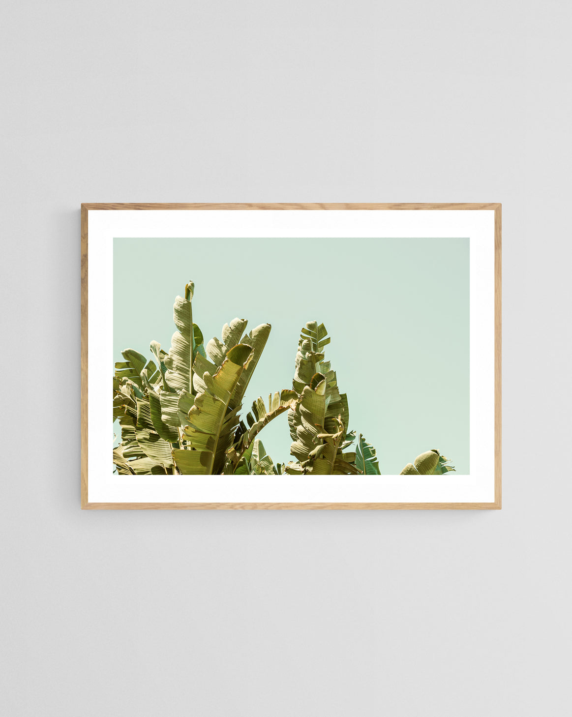 Modern Fine Art Photograph - California Green by Alicia Bock Print Shop - product image 3 for Resin Society