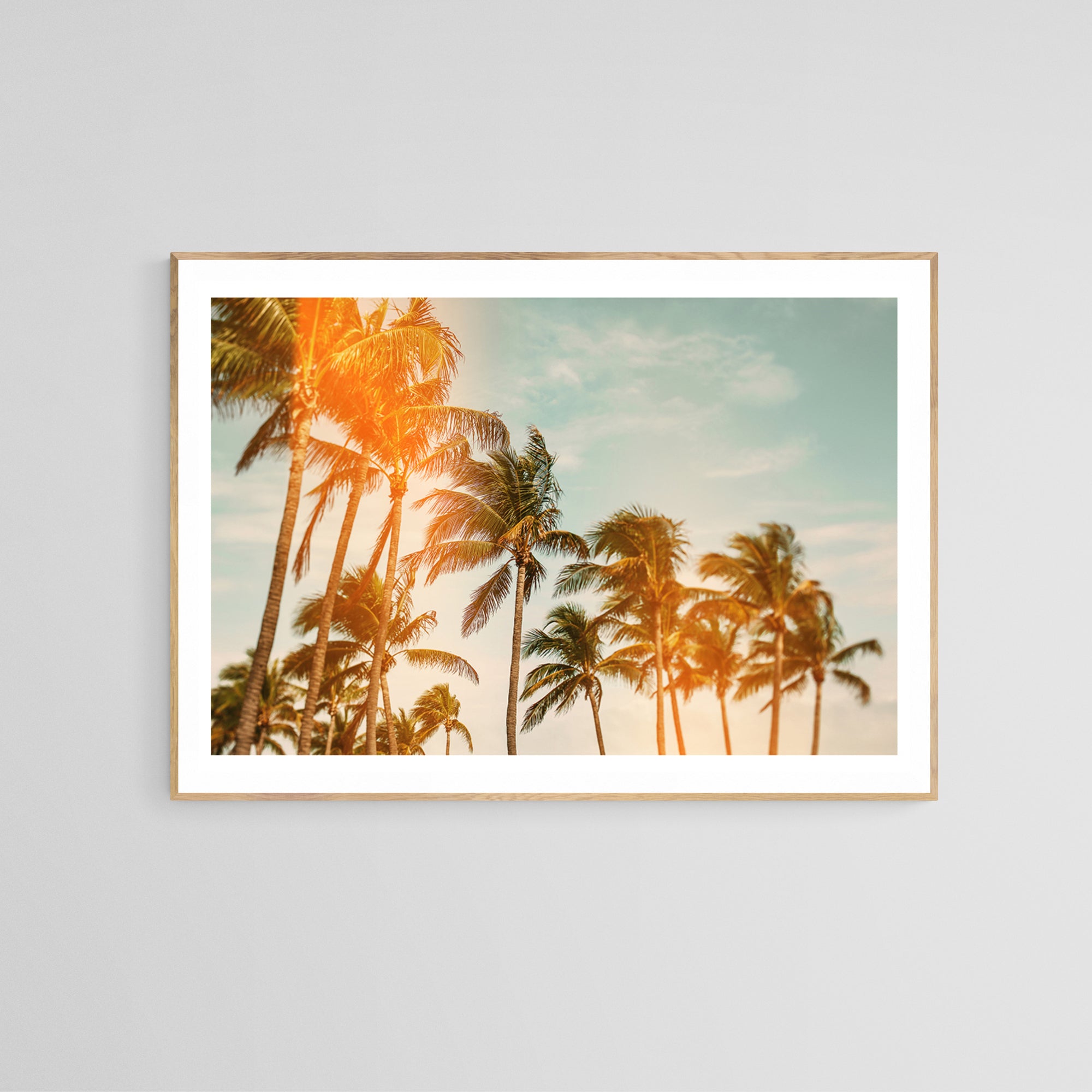 Miami Breeze (Flare) - Fine Art Photograph by Alicia Bock Print Shop - product image 2 for Resin Society
