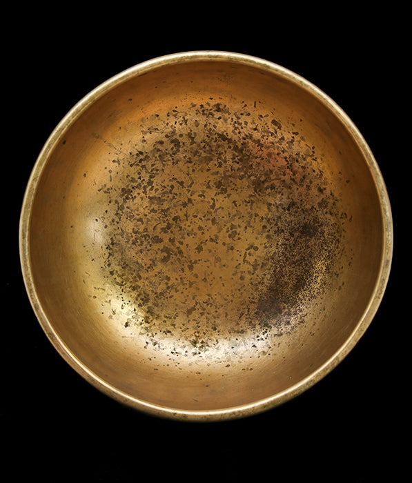Antique Special Singing Bowl E4 335Hz 6 1/2" A16177 by Bodhisattva Trading Company - product image 3 for Resin Society