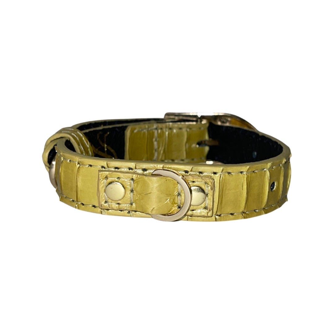 XS/S 7”-14” Light Yellow Patent Custom Snake Collar/Custom Gold Italian