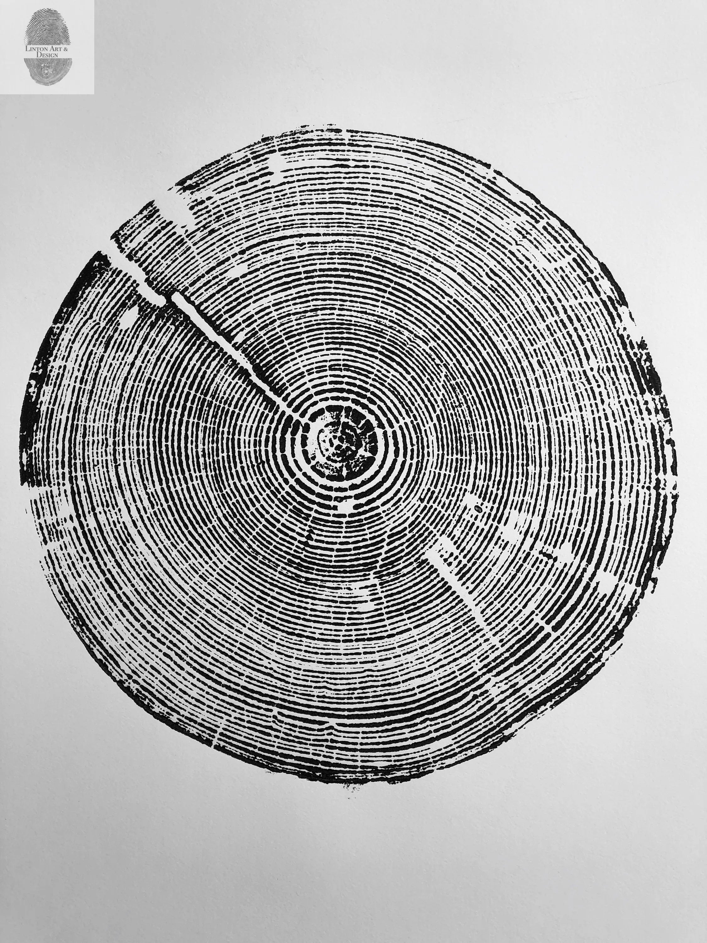 Alabama Tree Ring Print showing detailed concentric rings of a Long Leaf Pine tree on 18x24 inch paper
