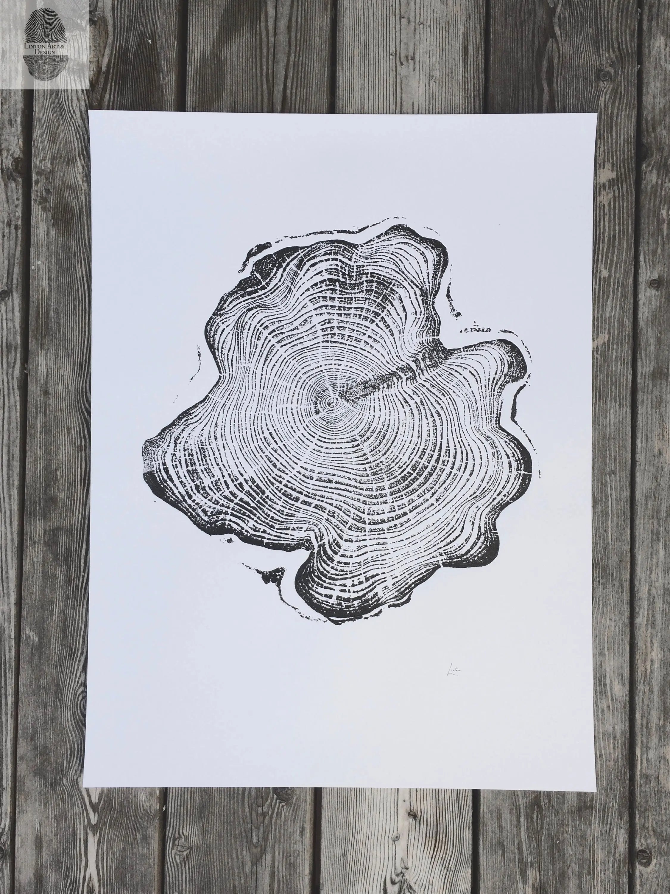 Alaska Cedar Wood Slice Wall Art by LintonArt