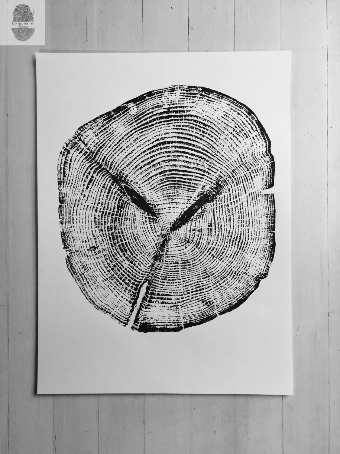Alaska Cedar tree ring print artwork showing textured rings and patterns in ink on paper
