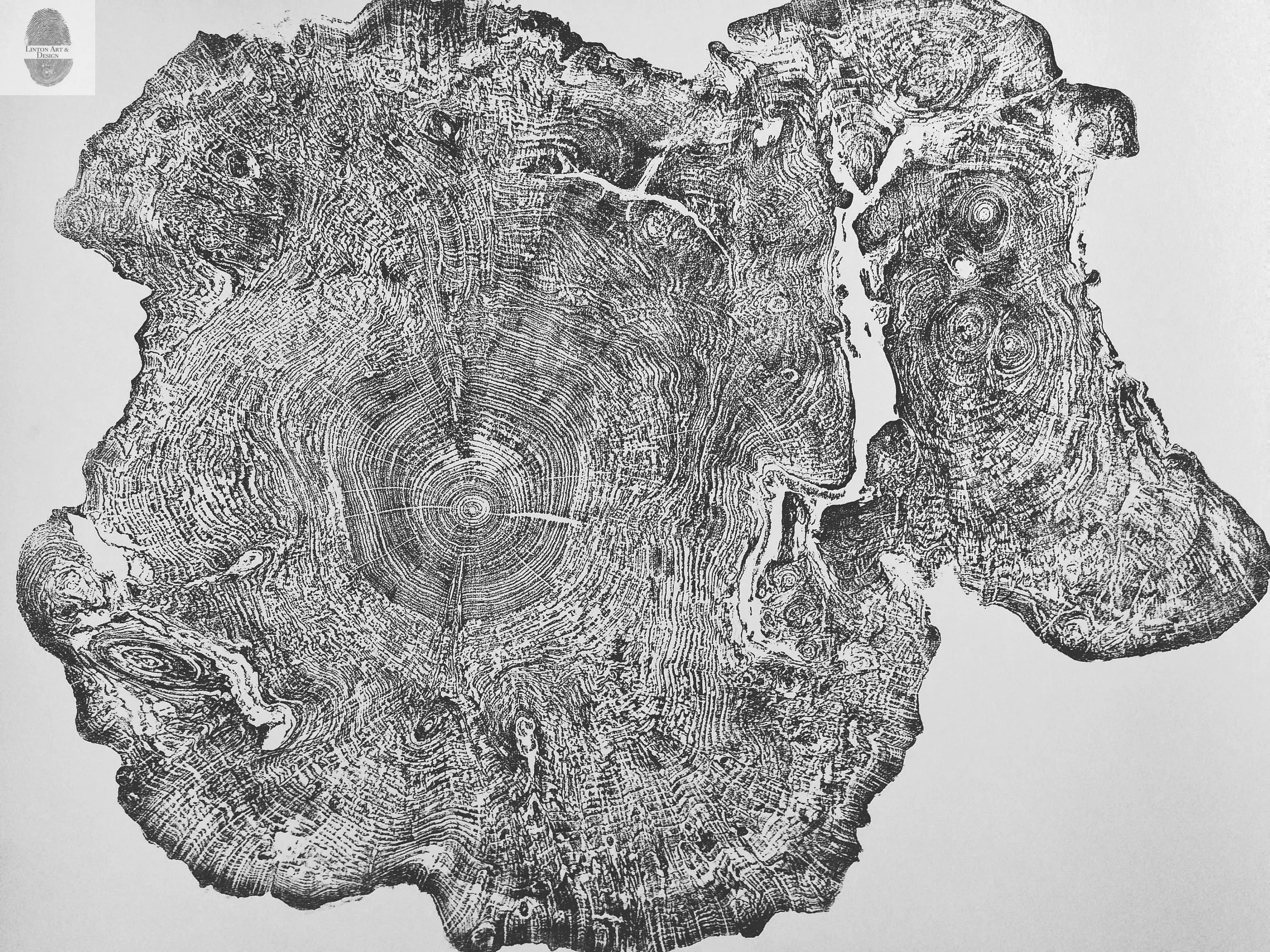 Big Leaf Maple Tree Ring Print by lintonart - 36x48 Hand-Pressed Arborist Art