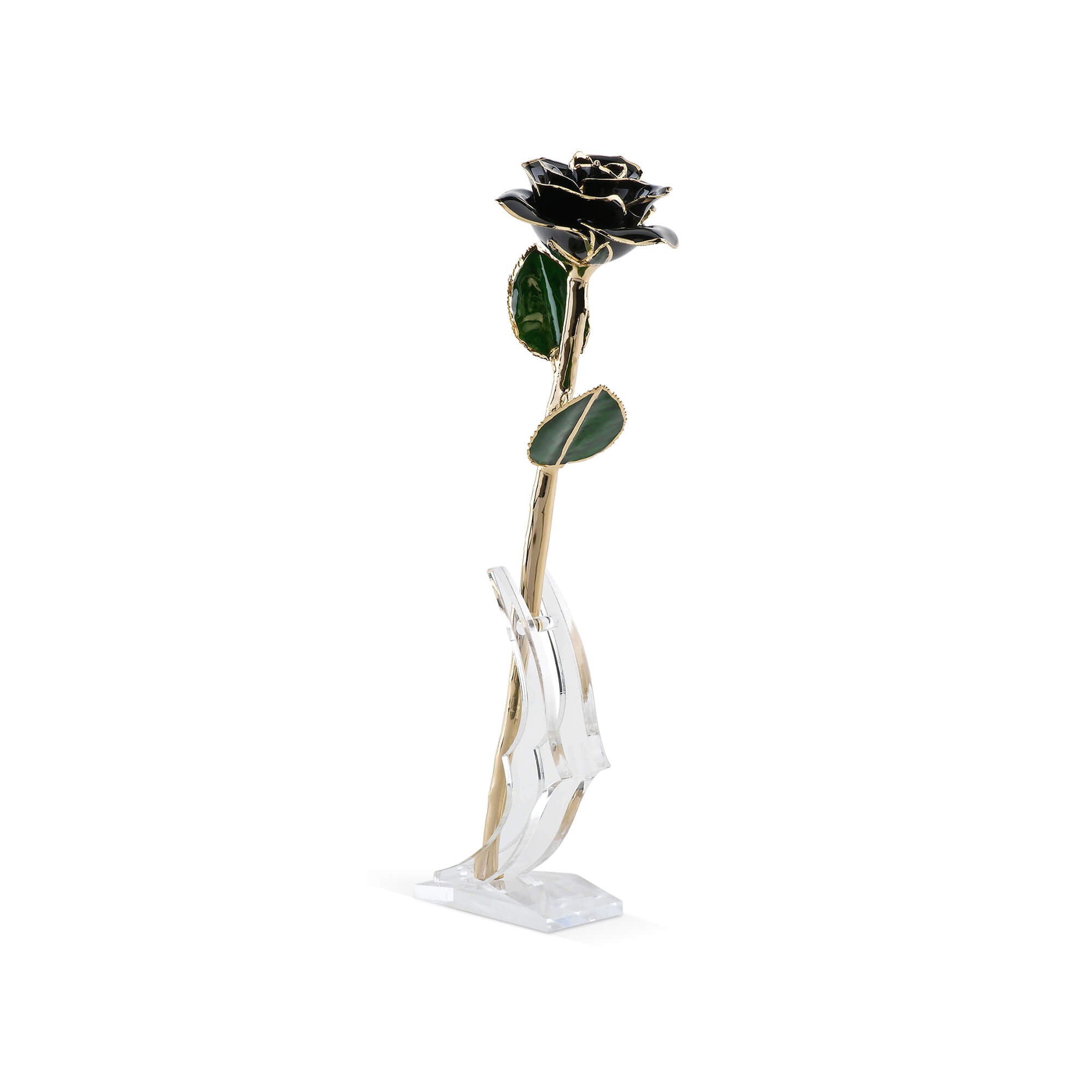 Timeless Rose (Black) by ROSEPHORIA