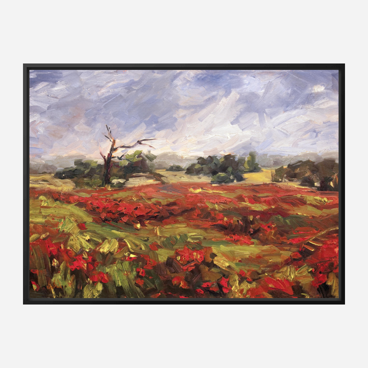 Blaze of Poppies Artist Enhanced Canvas Print by John Beard Collection - product image 5 for Resin Society