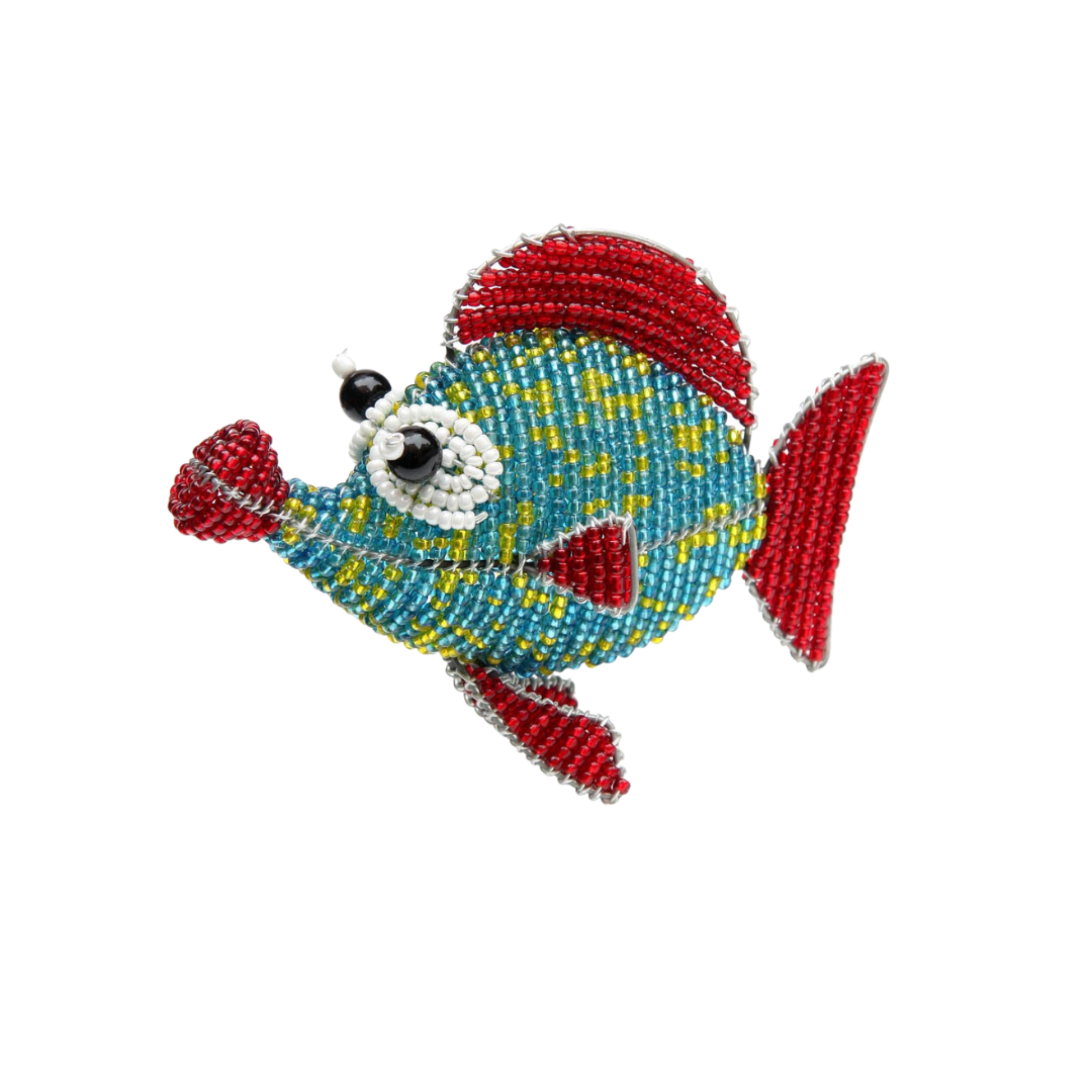 Button Fish